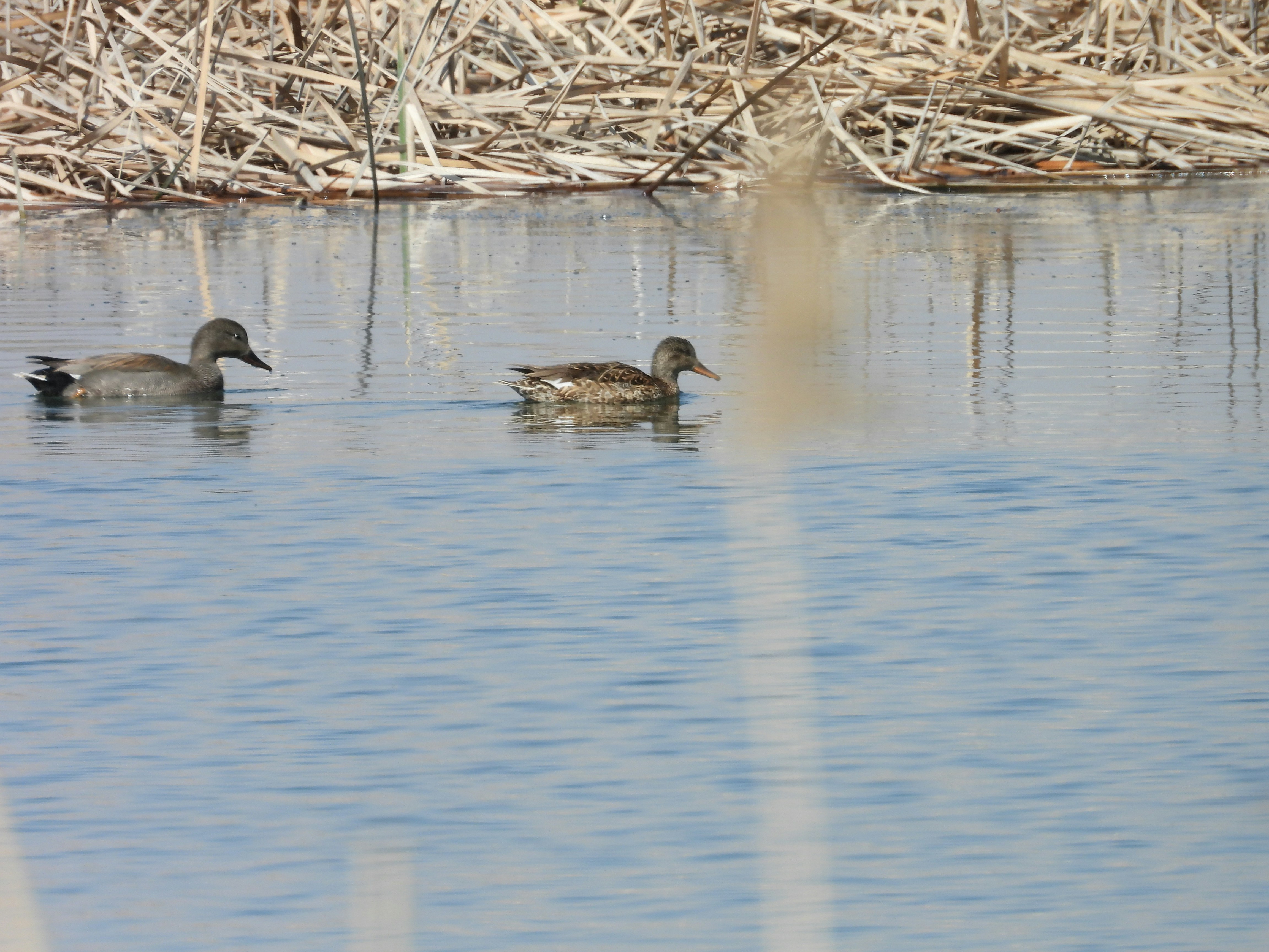 Photo by aliarjmandi