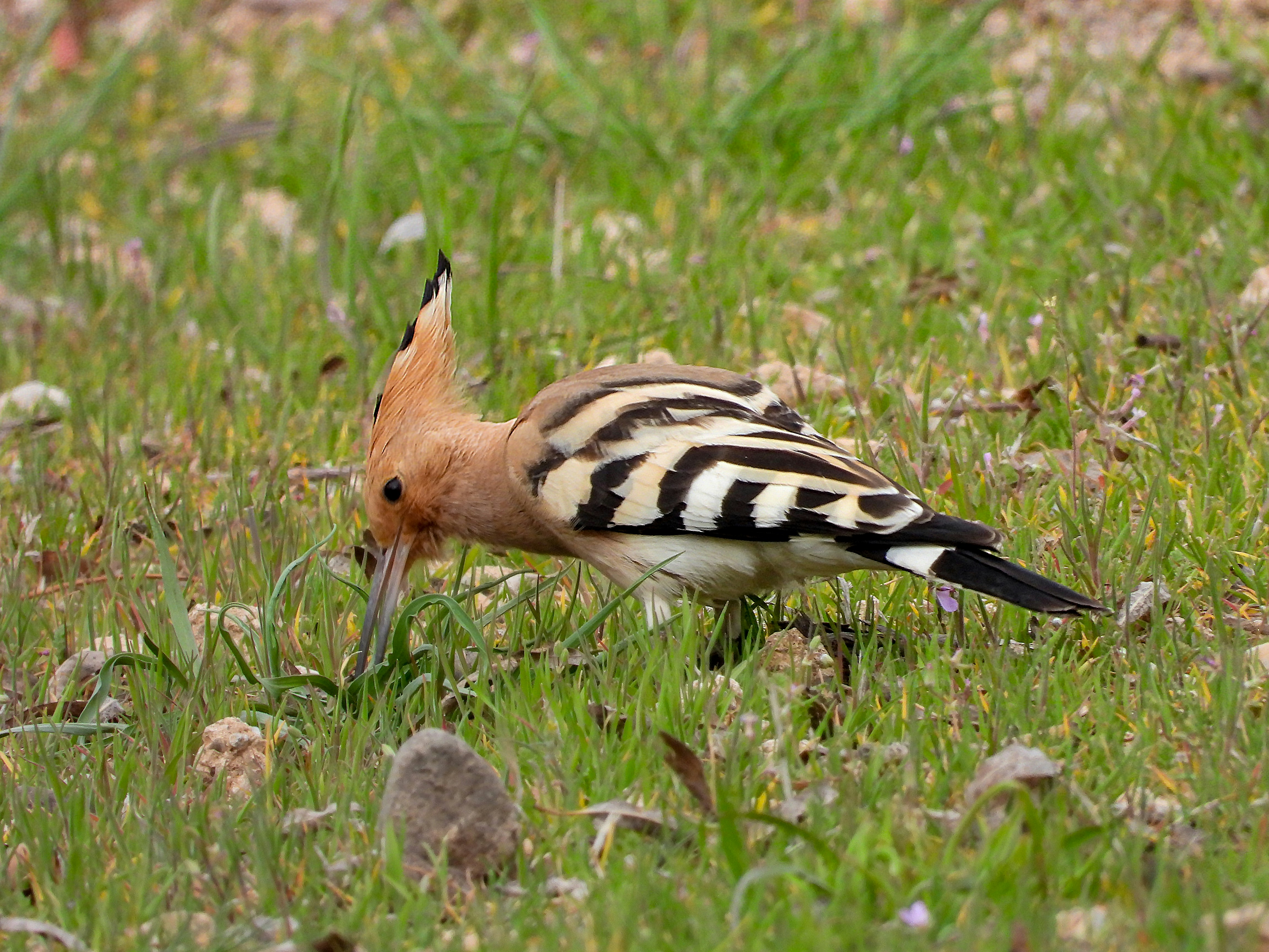 Photo by aliarjmandi