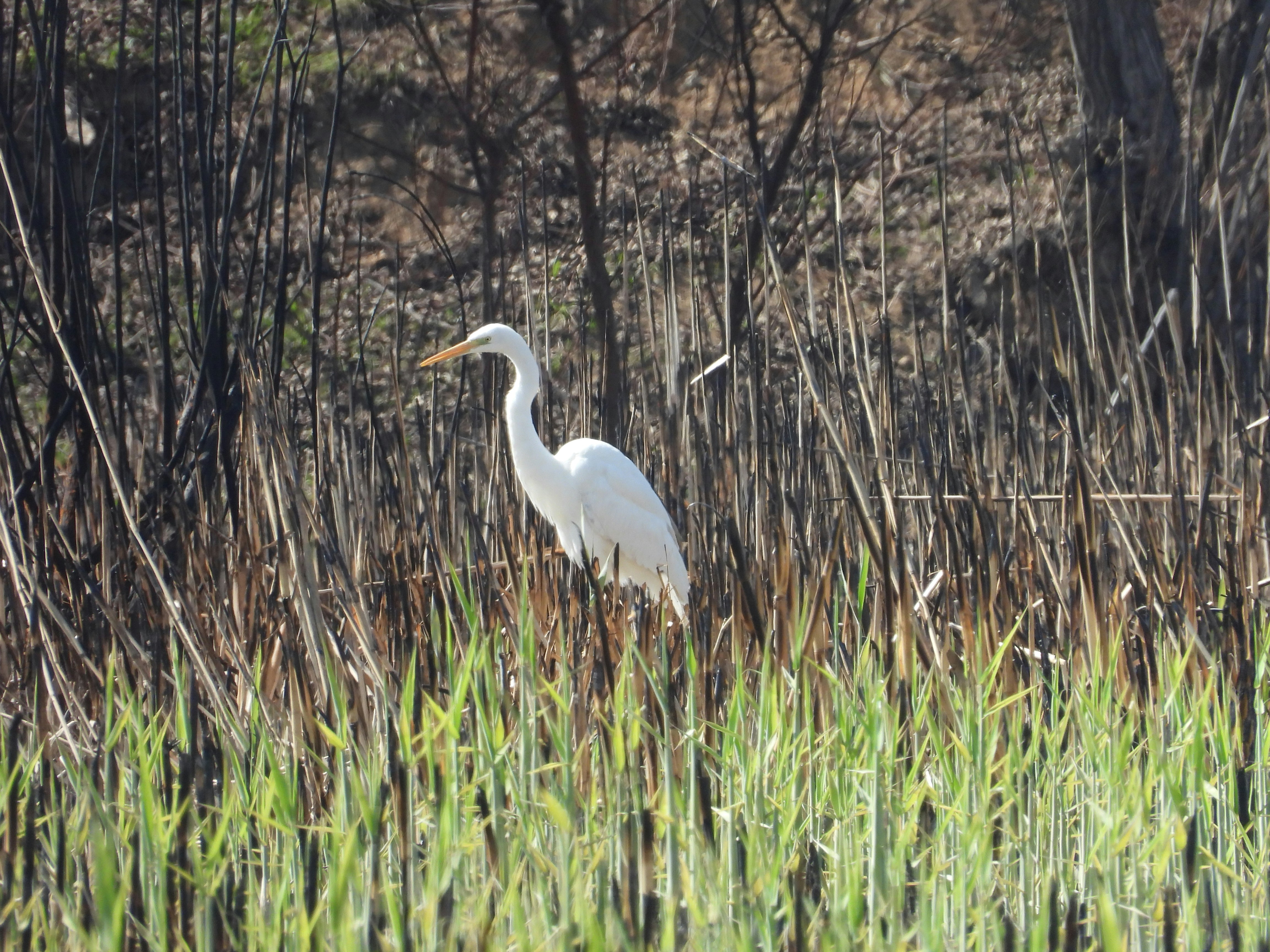 Photo by aliarjmandi