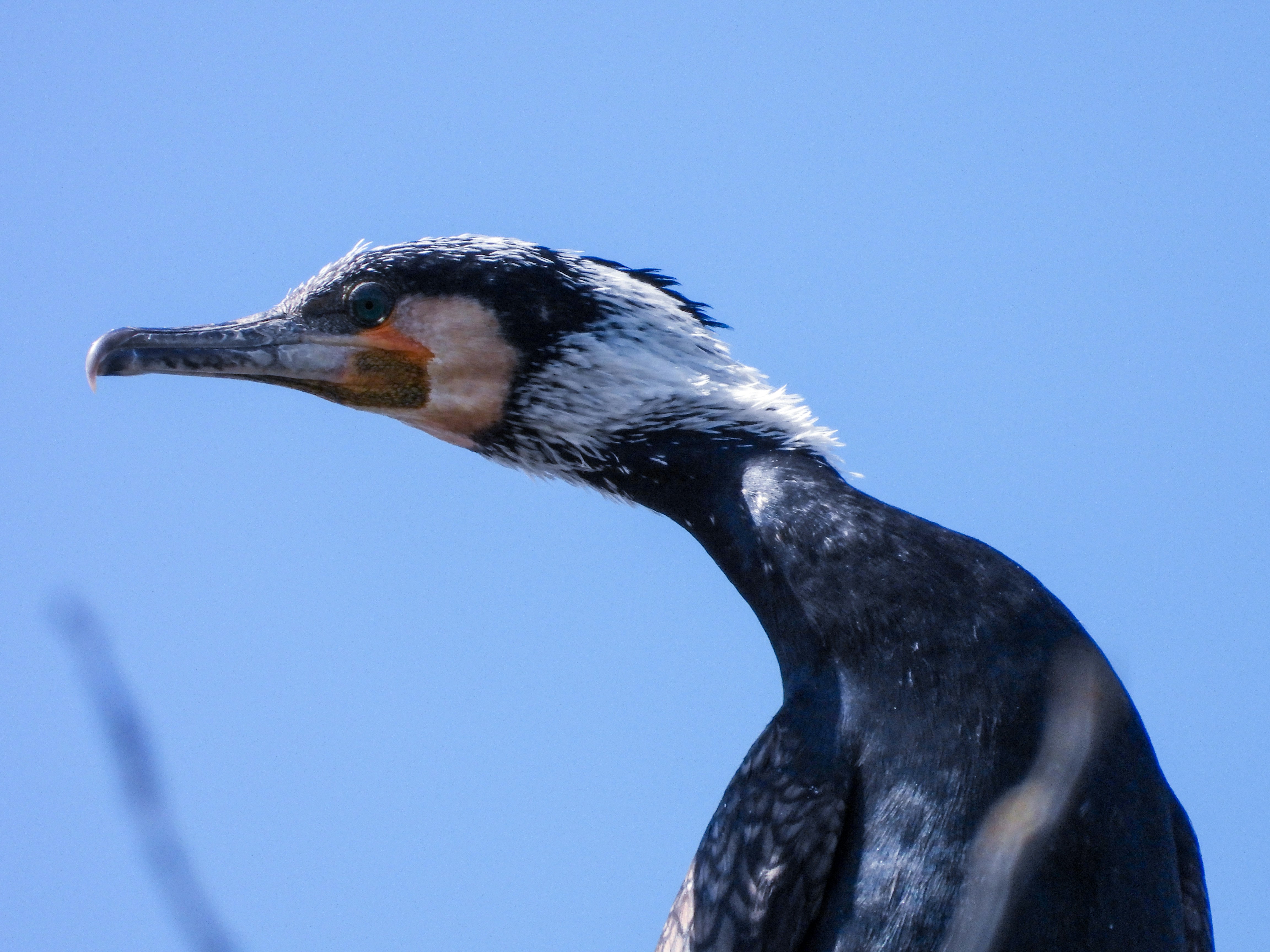 Photo by aliarjmandi