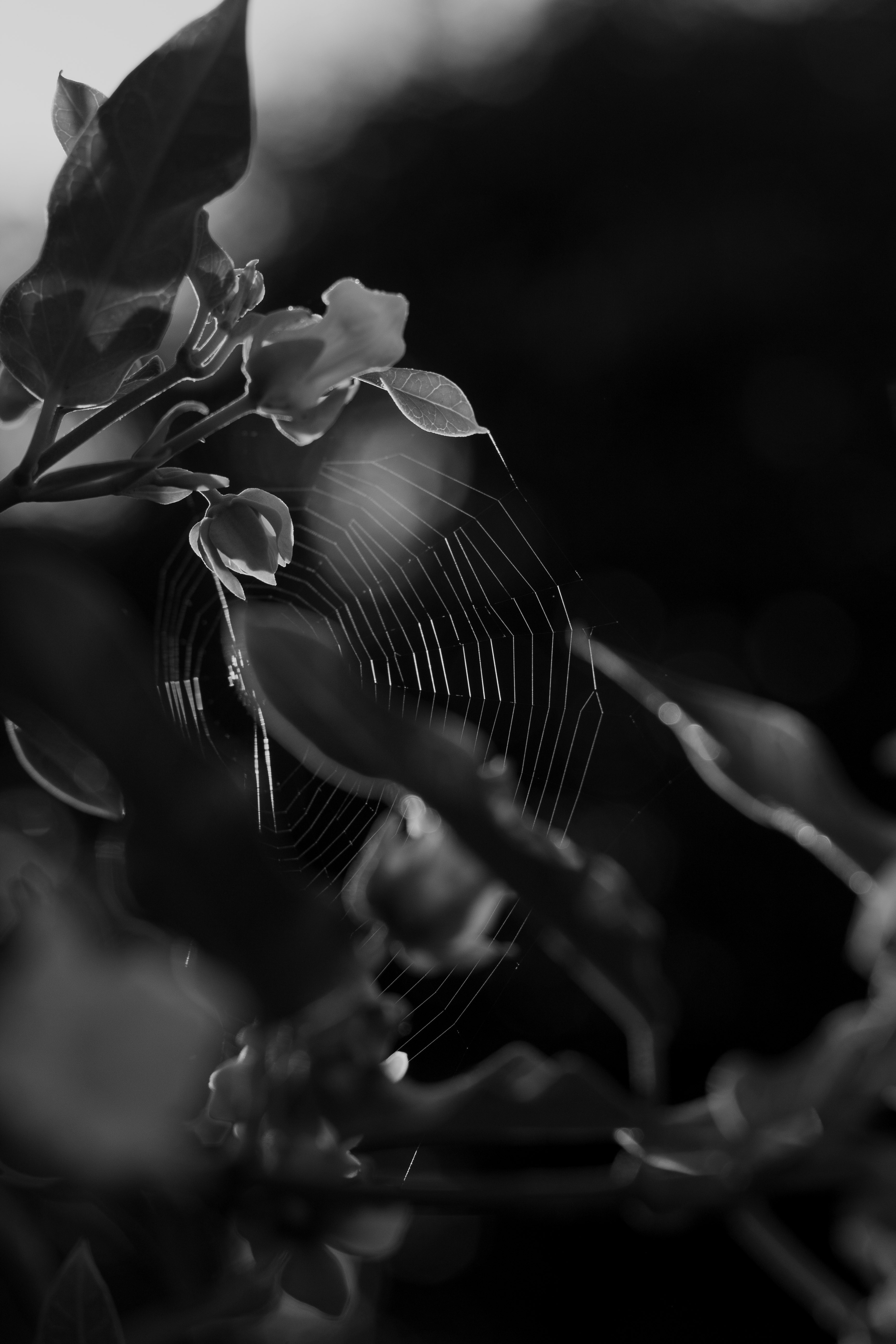 Photo by ashford_marx