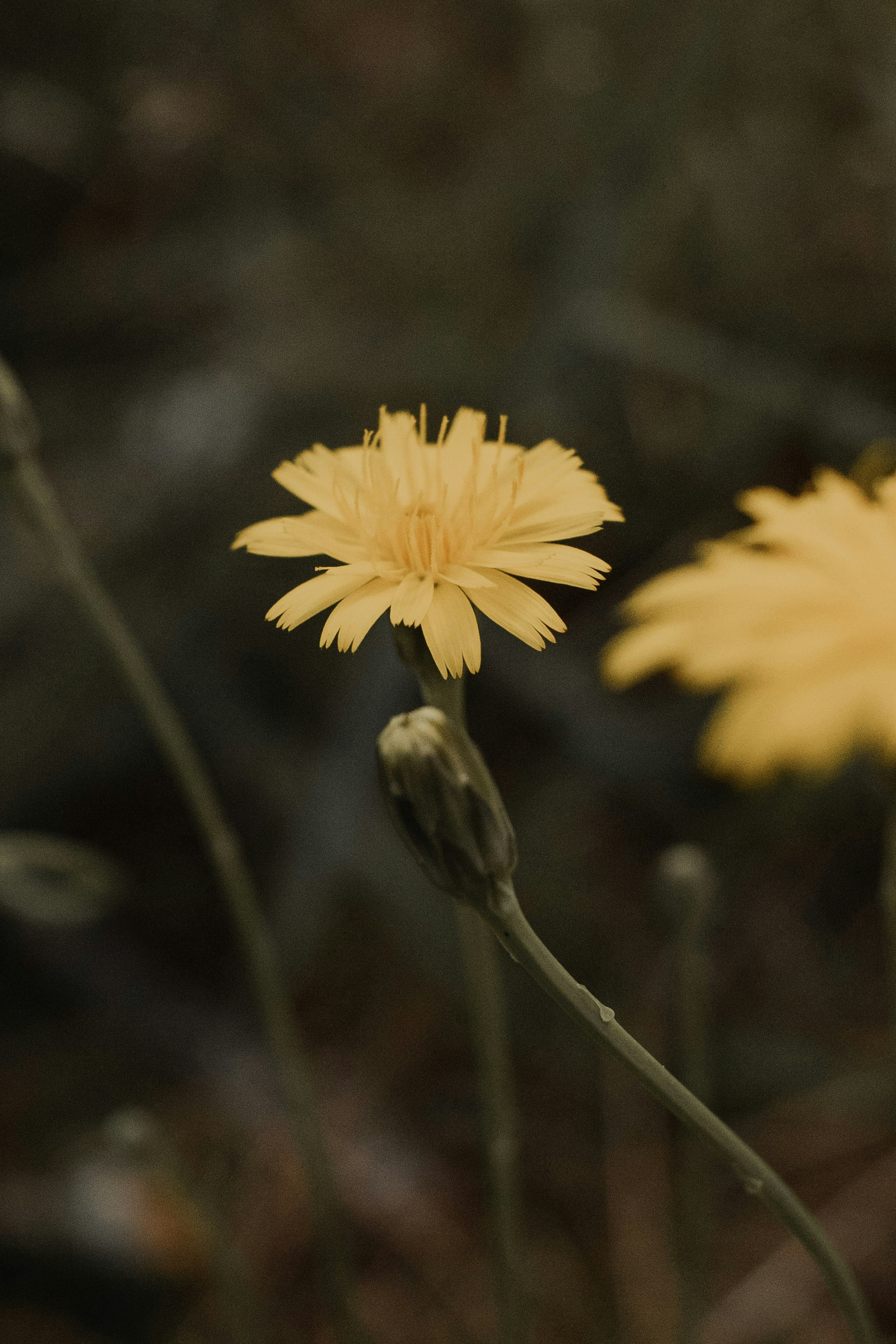 Photo by ashford_marx