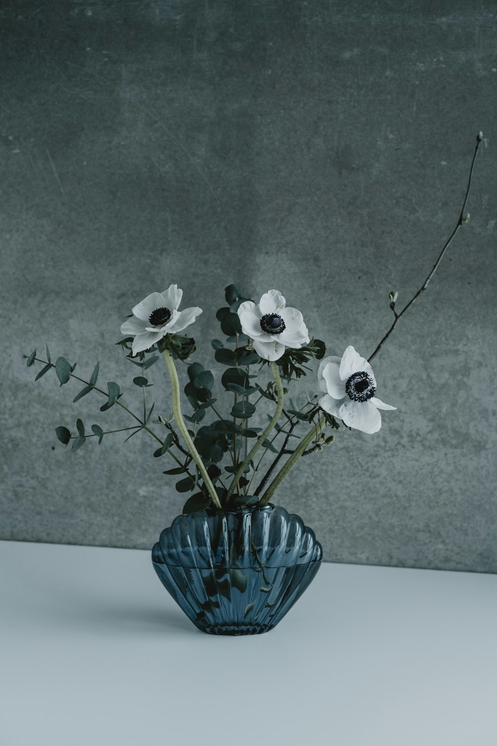 eine blaue Vase gefüllt mit weißen Blumen auf einem Tisch
