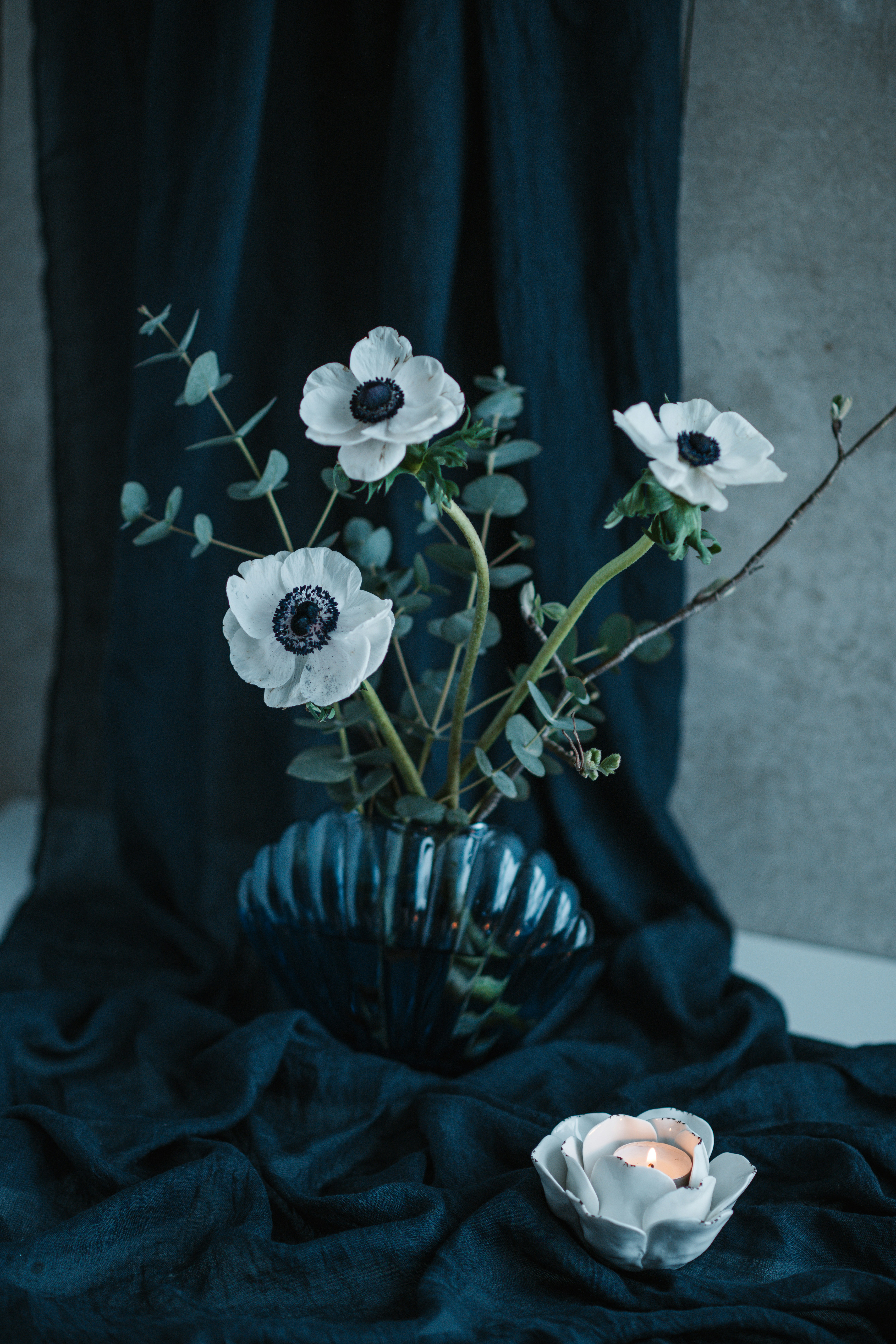 Photo by anitaaustvika