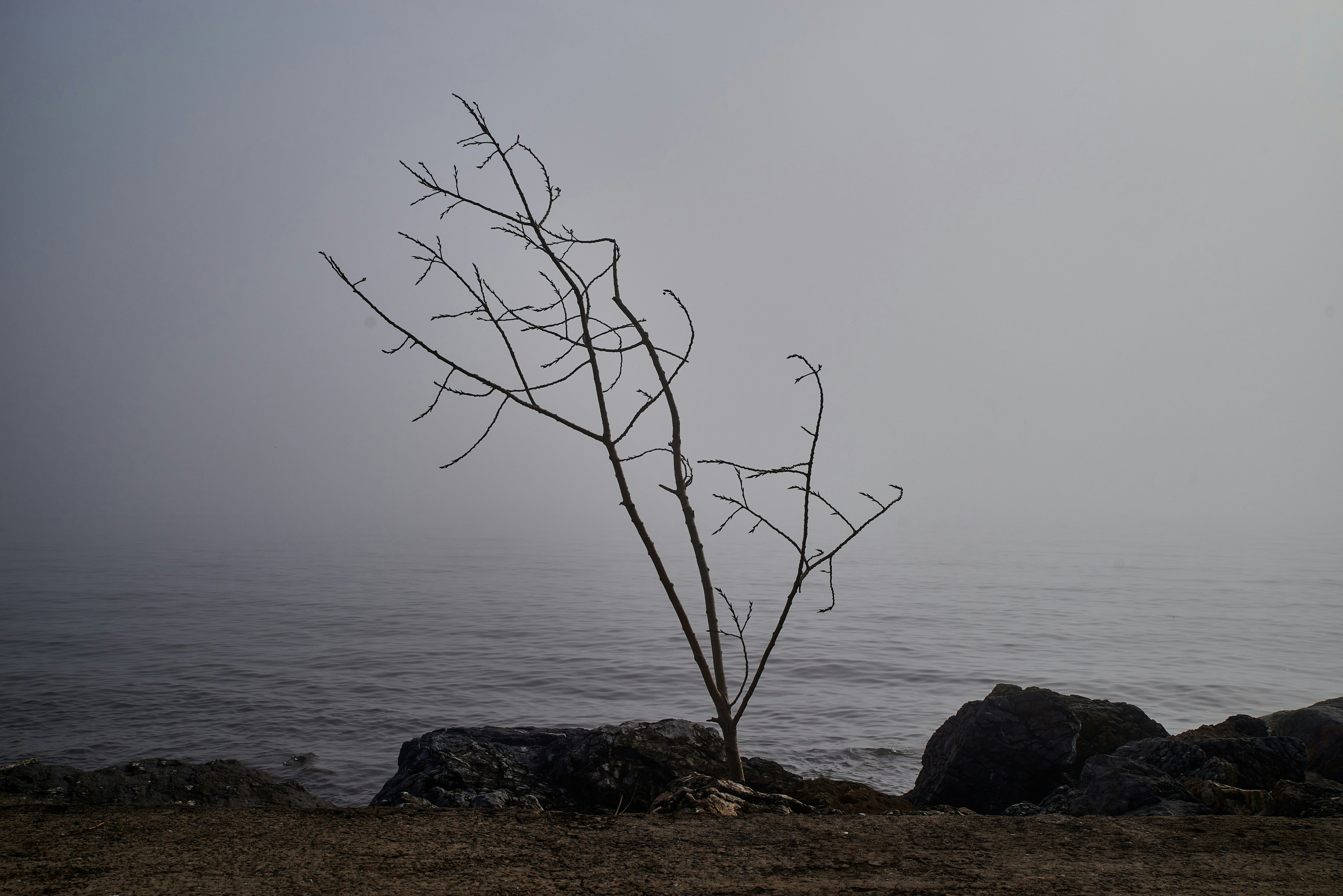 Photo by zyuhel