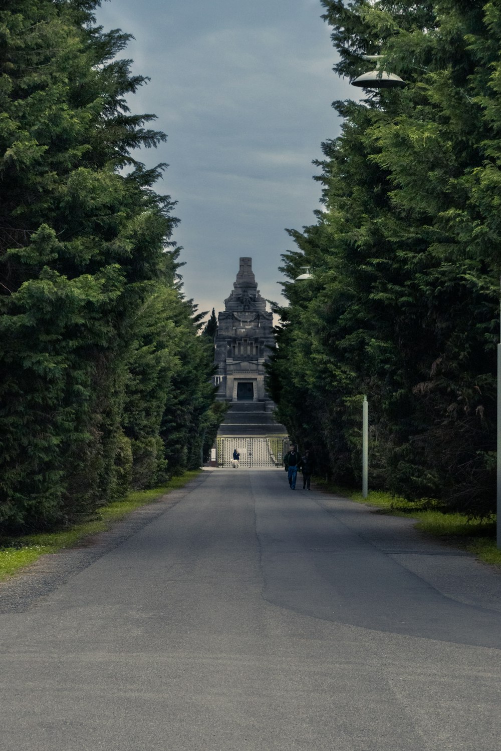 two people walking down a tree lined road