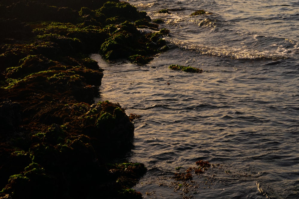 a body of water next to a rocky shore