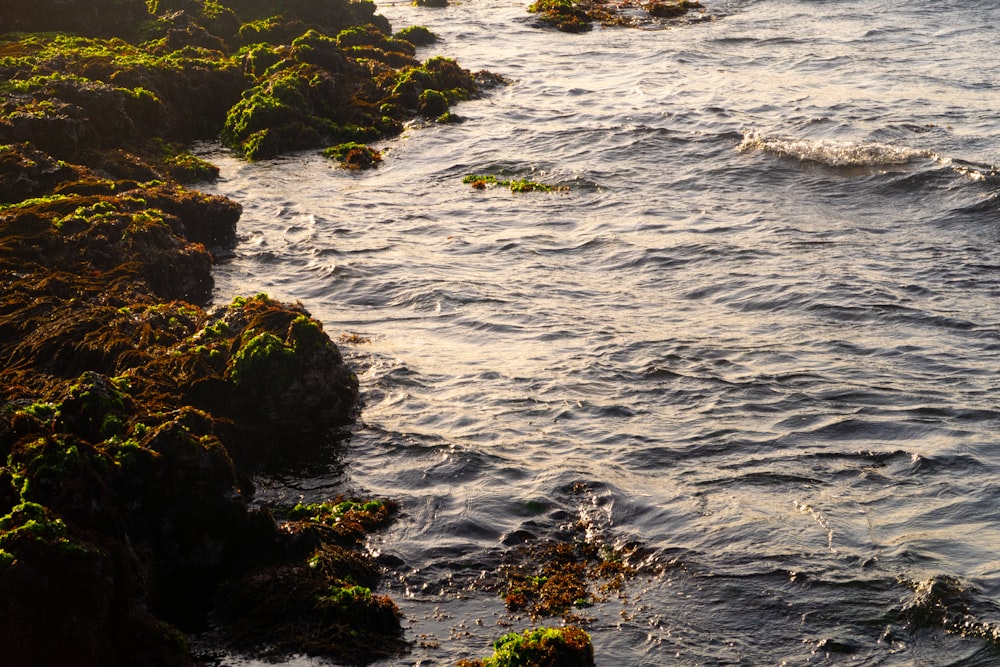 a body of water next to a rocky shore