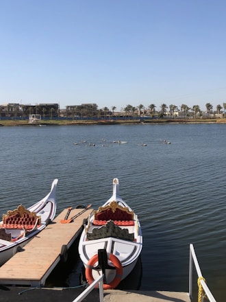Two ornately decorated white boats with red cushioned seating are docked at a wooden pier on a calm body of water. In the background, several ducks can be seen floating on the water, with a row of palm trees and some buildings lining the shore under a clear blue sky.