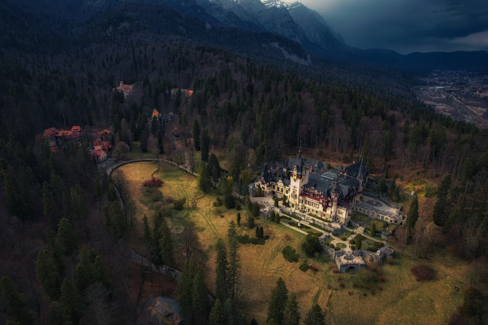 an aerial view of a castle in the middle of a forest