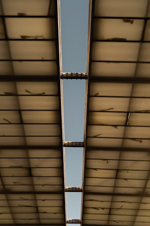 A view of crops outside the metallic structure with skylight beams.