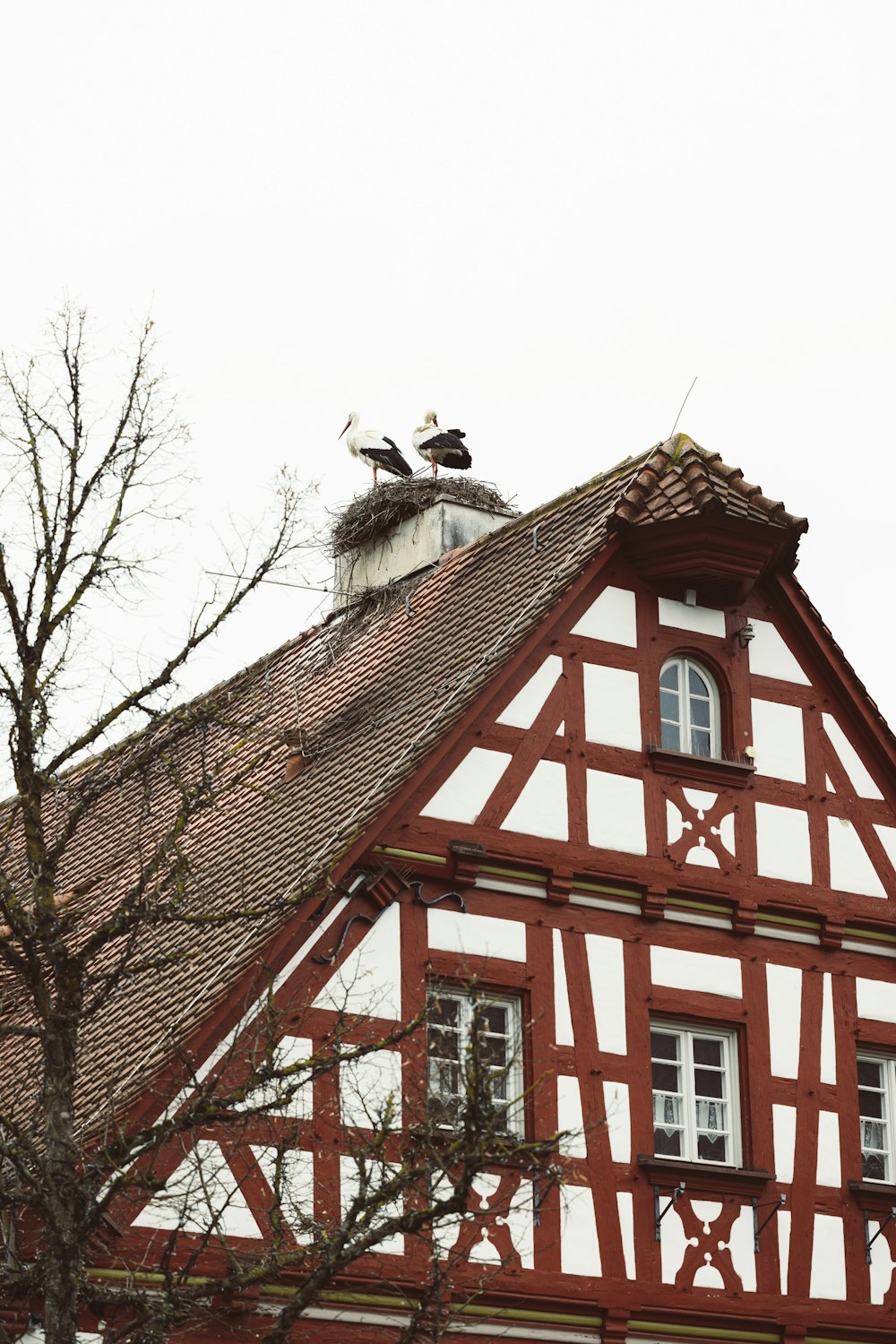 two birds are sitting on top of a building