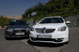 Two cars are parked on a paved surface in an outdoor setting, with lush green trees and a stone wall in the background. The car on the left is dark gray with a slightly aggressive front design, while the car on the right is white, featuring a sleek and modern look. Both cars have license plates with writing on them.