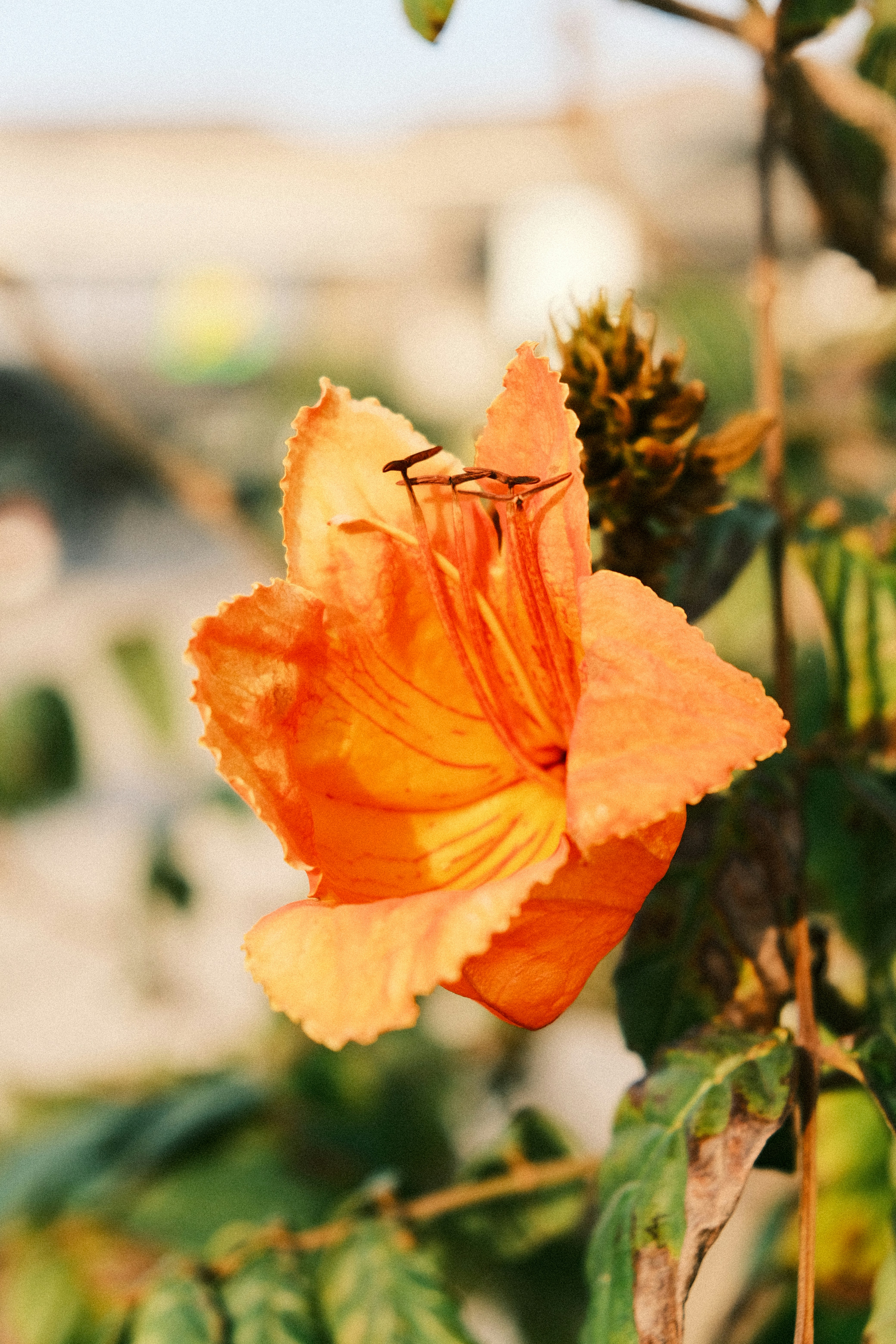 Photo by strangerrobijn123