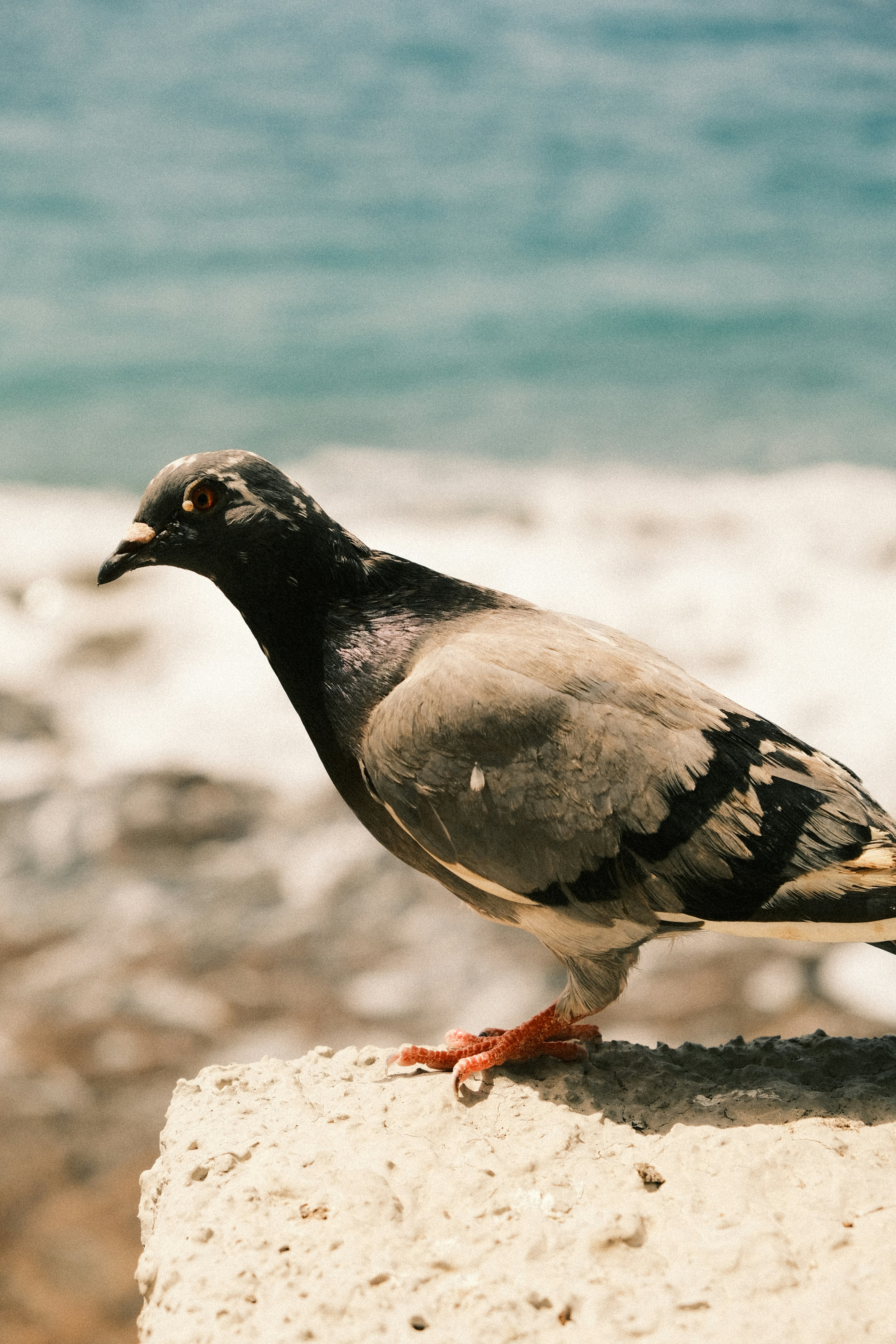 Photo by strangerrobijn123