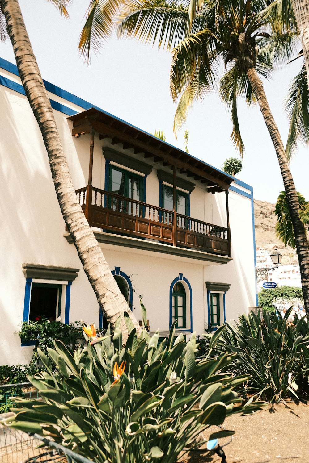a white house with blue trim and palm trees