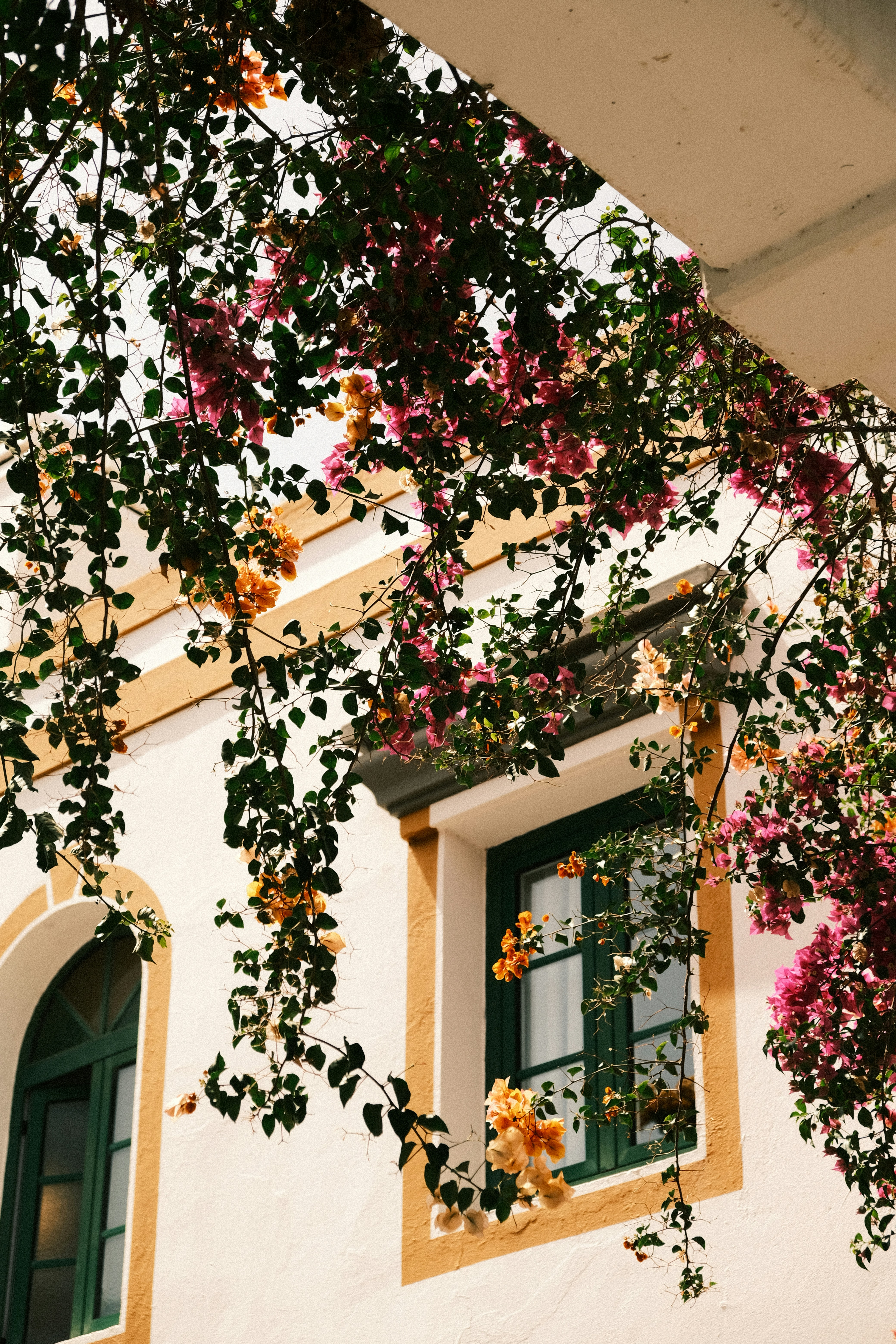 Photo by strangerrobijn123