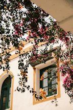 A warm, inviting homestay entrance framed by blooming Kashmiri flowers under soft sunlight