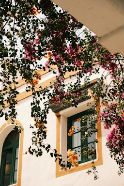 A warm, inviting homestay entrance framed by blooming Kashmiri flowers under soft sunlight