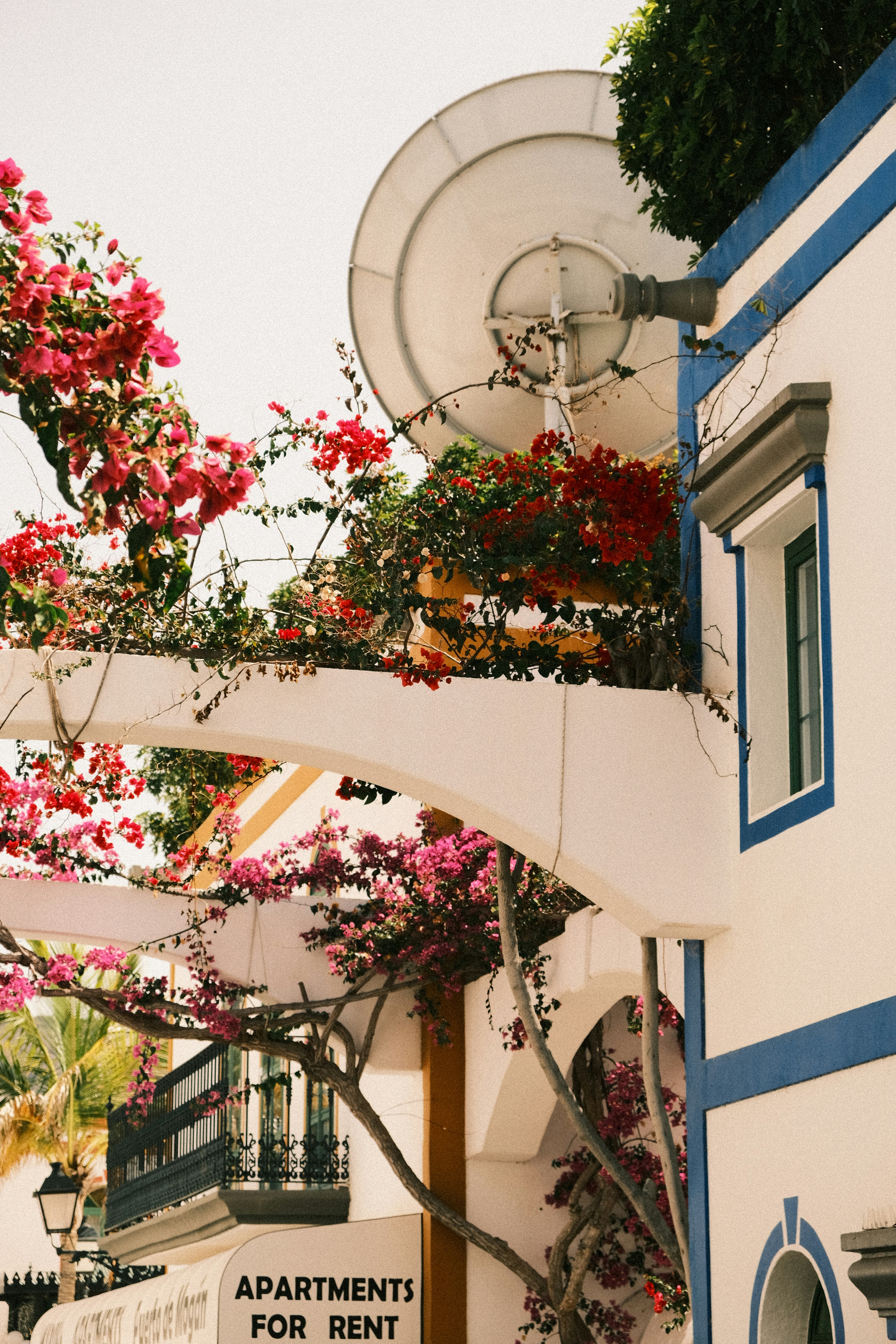 Photo by strangerrobijn123