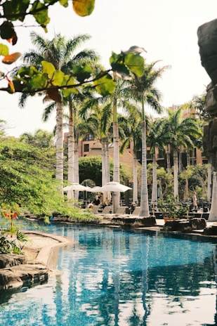 Tall palm trees surround a pristine swimming pool, with clear blue water reflecting the sky. Poolside lounge chairs and umbrellas provide a relaxing setting amidst tropical vegetation. In the background, a multi-story building is partially visible.