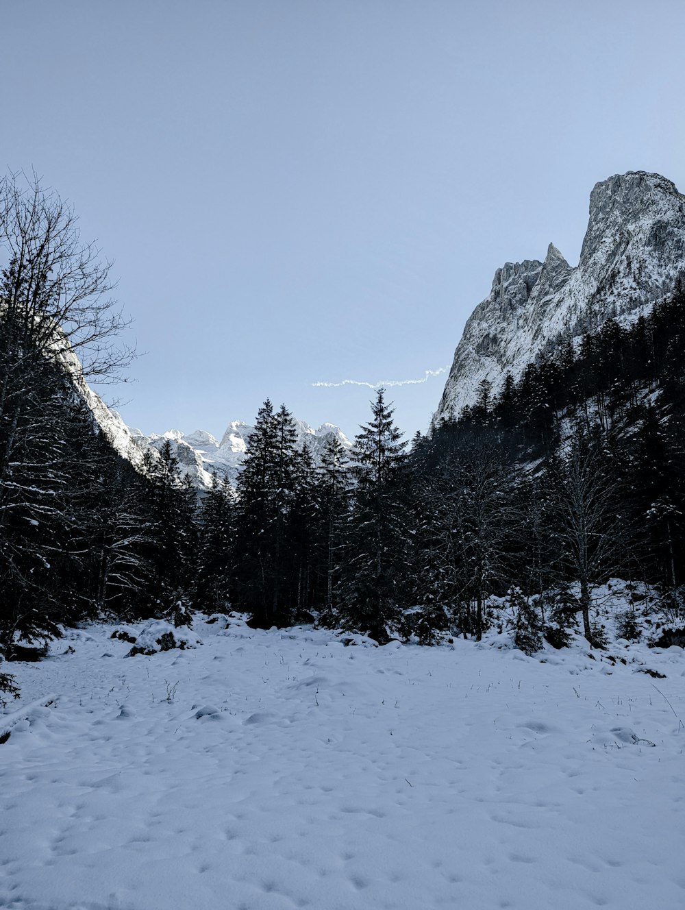 a snowy field with trees and mountains in the background