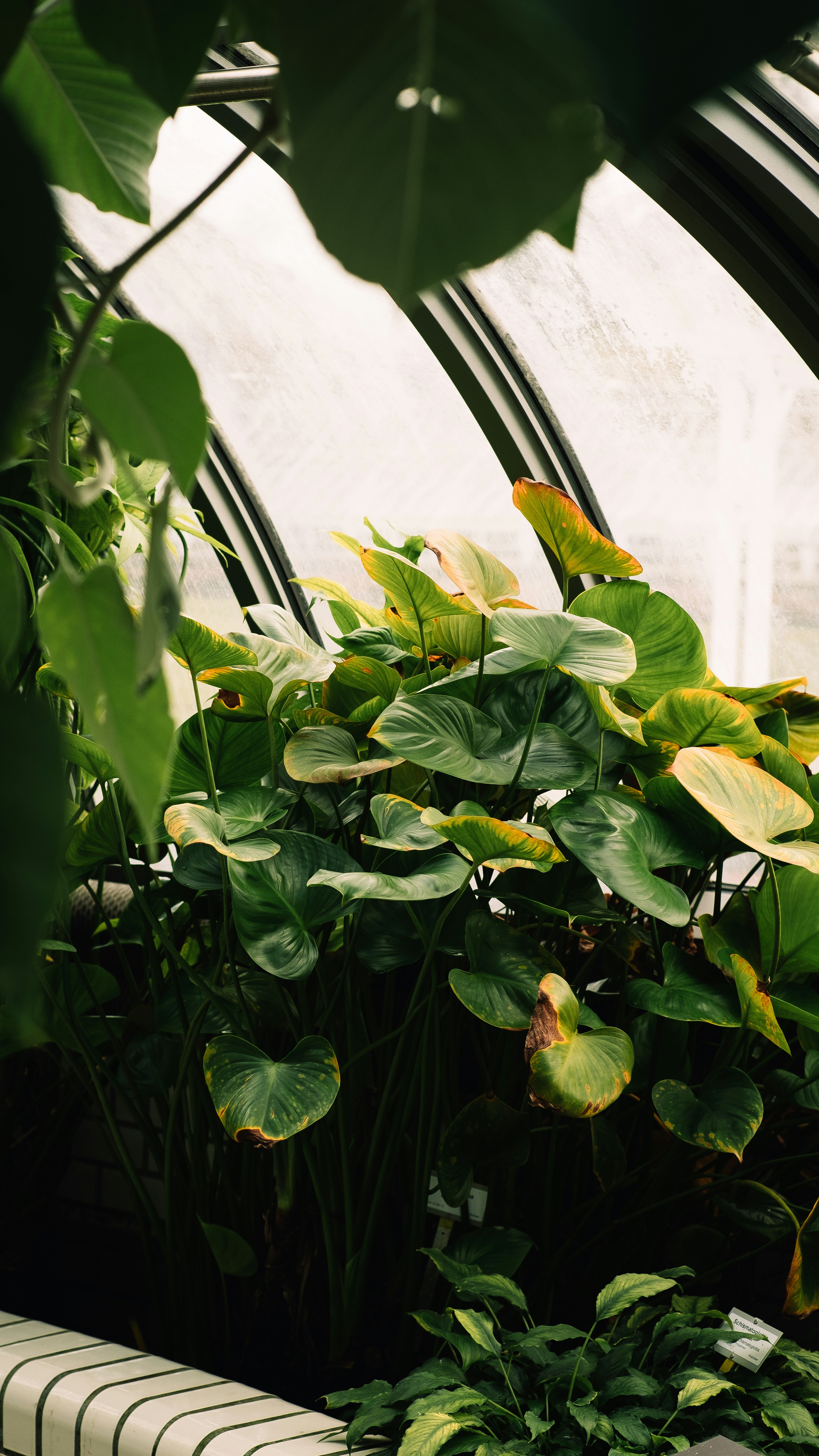 Photo by leon_bublitz