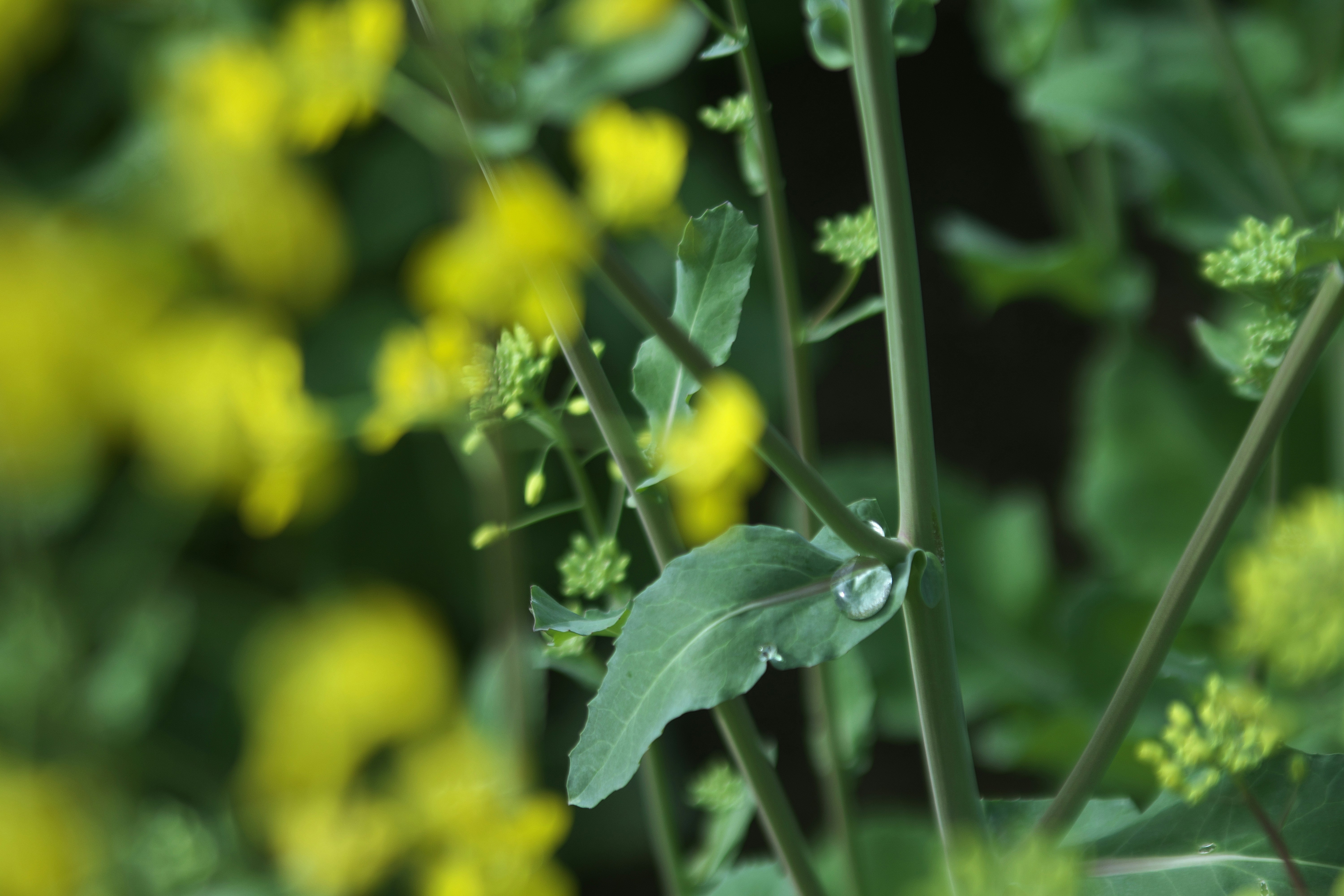 Photo by seichirochan