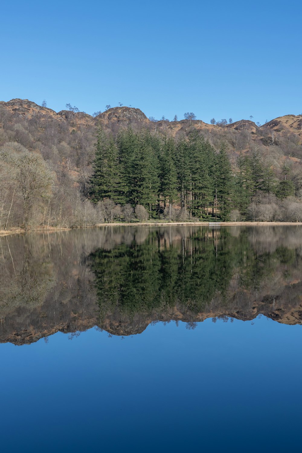 un grande specchio d'acqua circondato da alberi