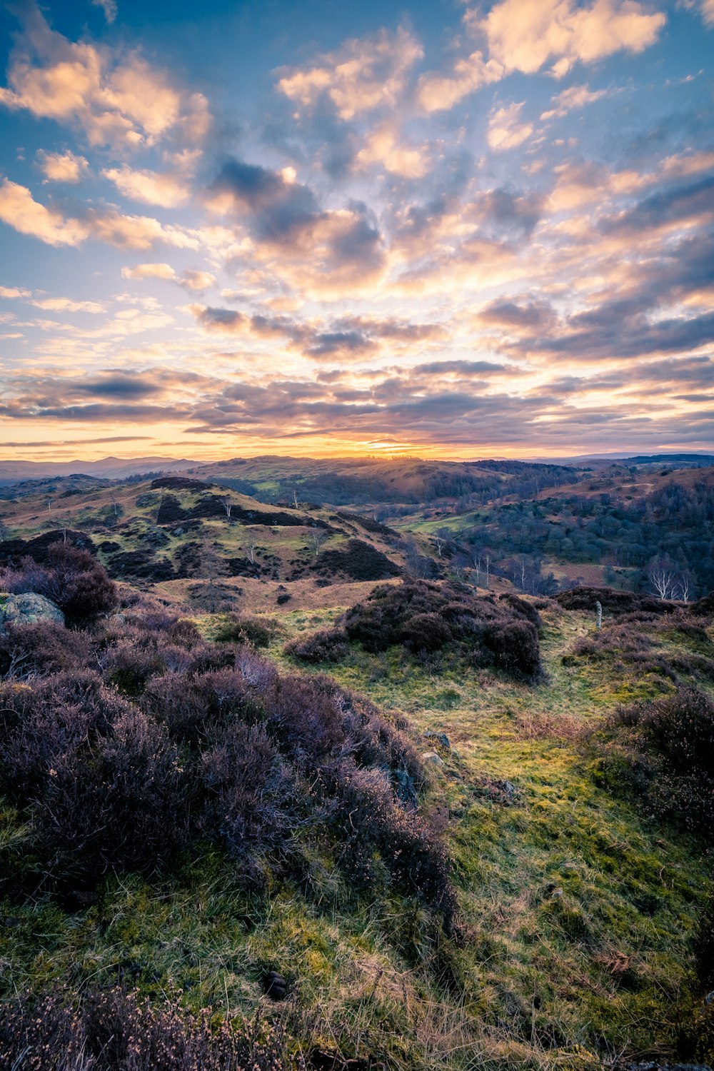 the sun is setting over a grassy hill