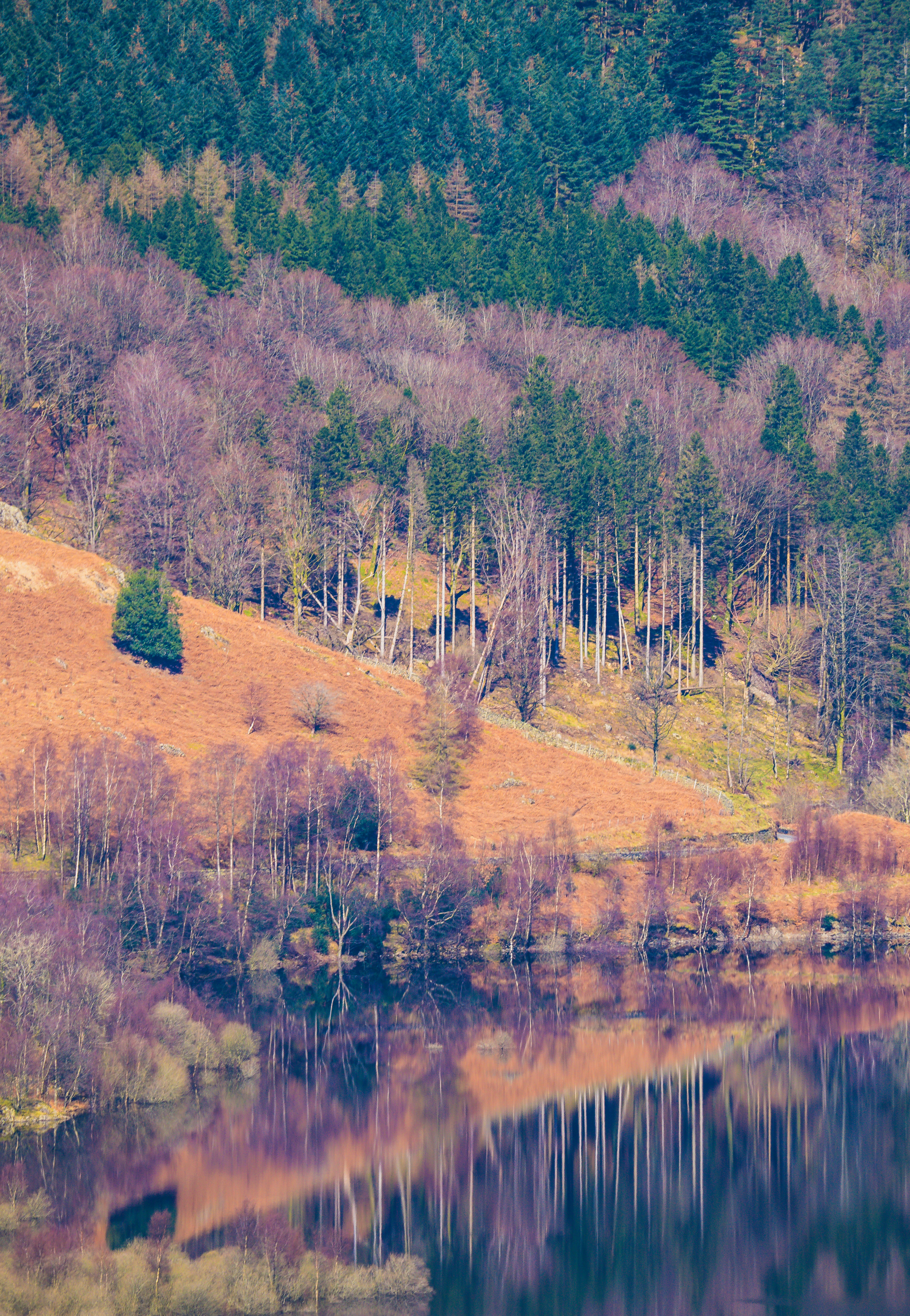 a lake surrounded by trees and a hillside