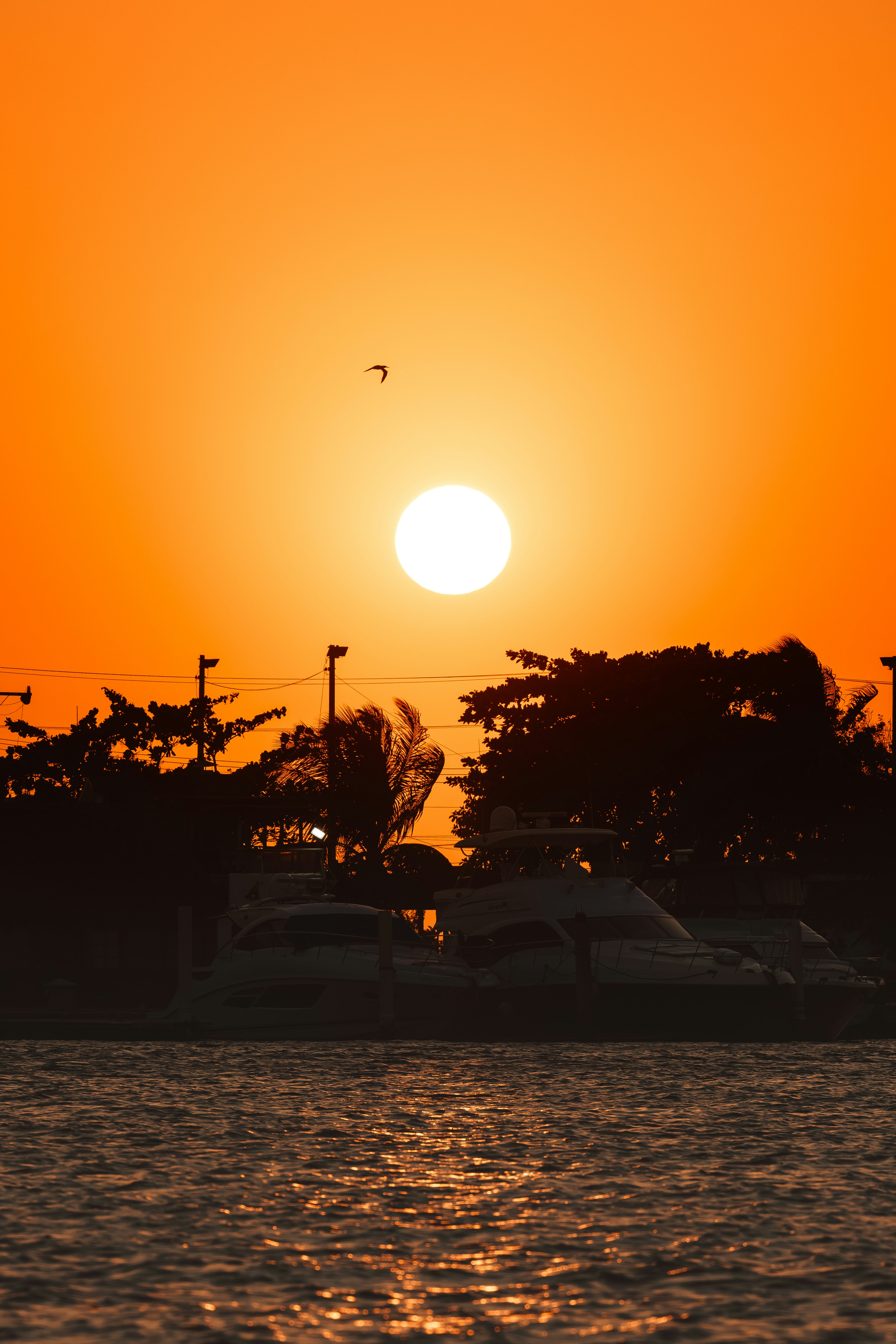 Cartagena's Romantic Sunset Spots Love in the Air
