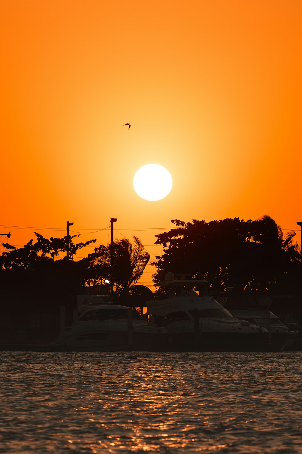 El sol se está poniendo sobre un cuerpo de agua