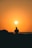 a silhouette of a man fishing at sunset