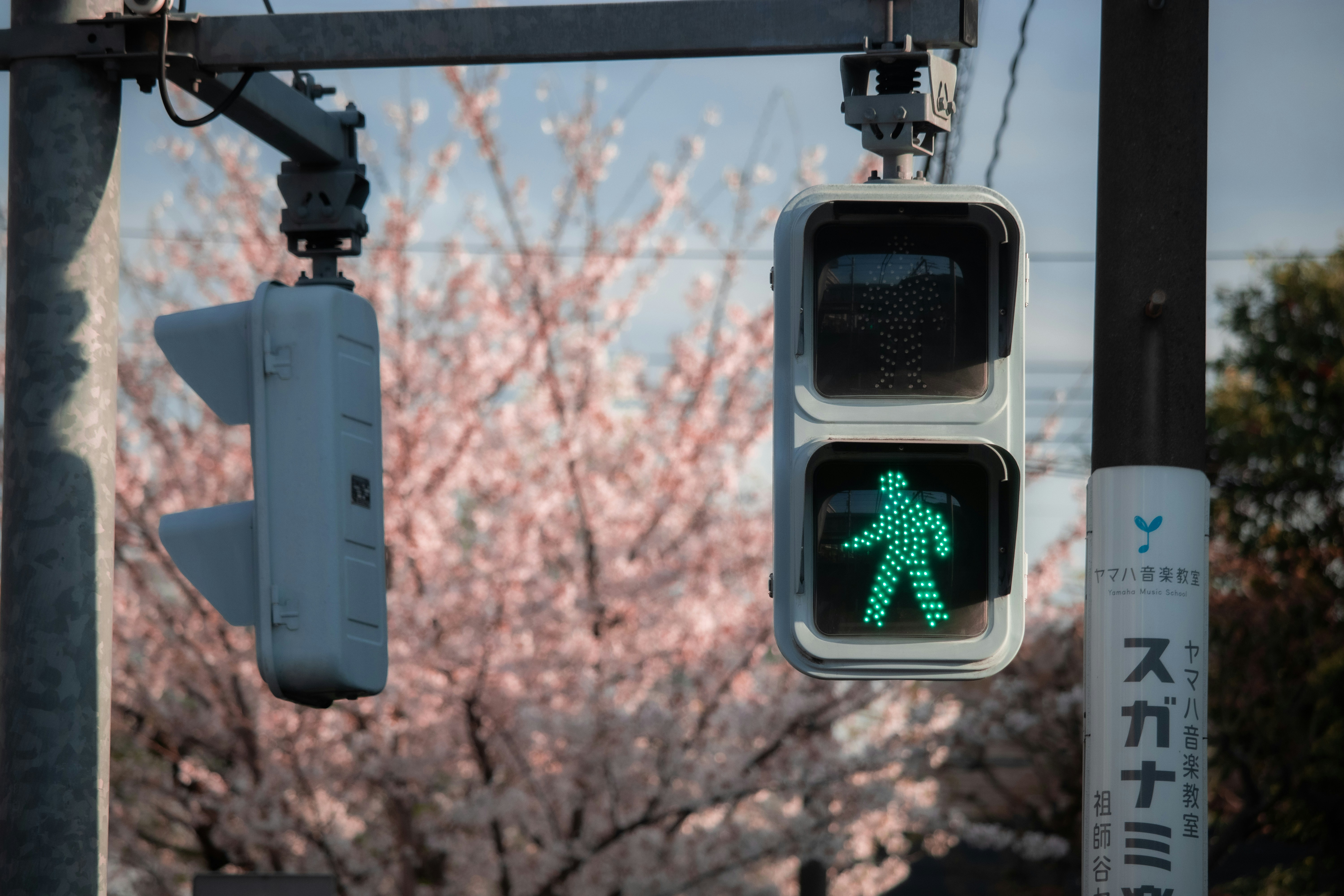 a traffic light with a green pedestrian crossing signal