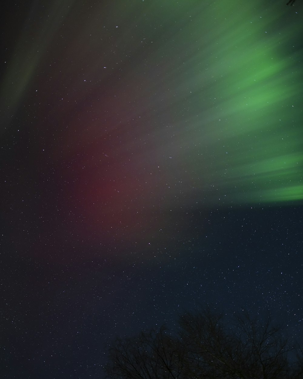 a bright green and red aurora bore in the sky