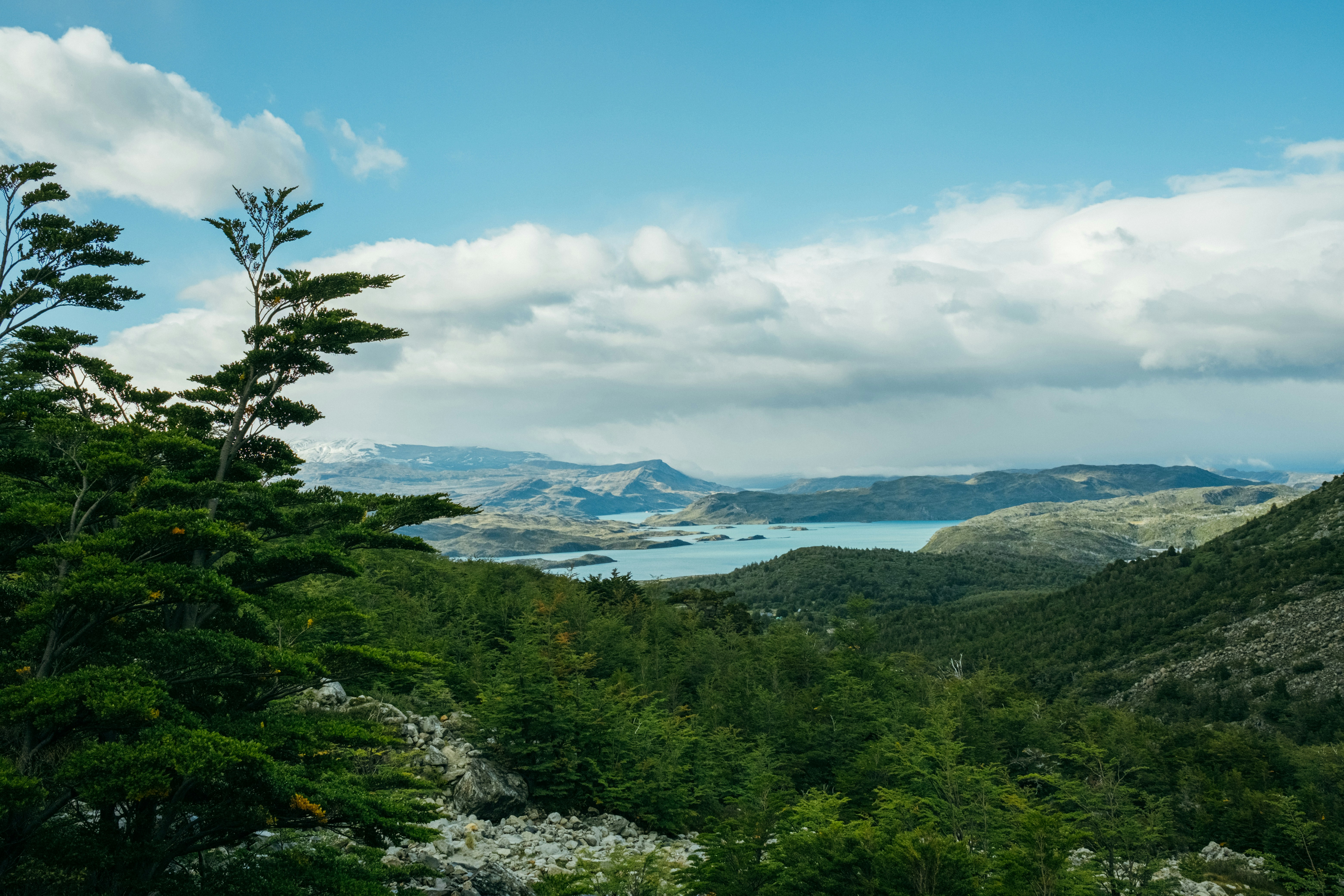 a scenic view of a lake surrounded by trees