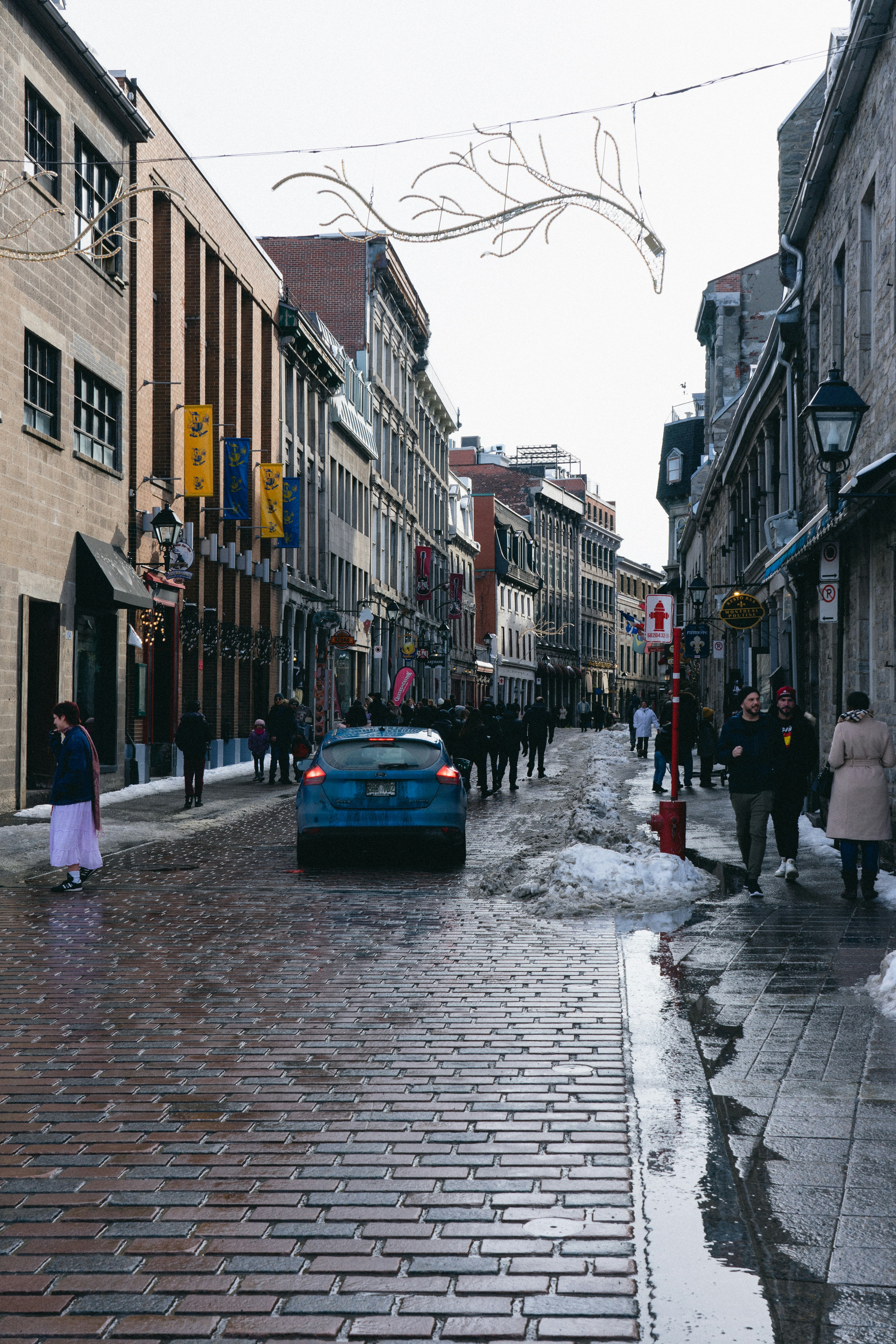 The Plateau and Mile End: Creative Hearts of the City