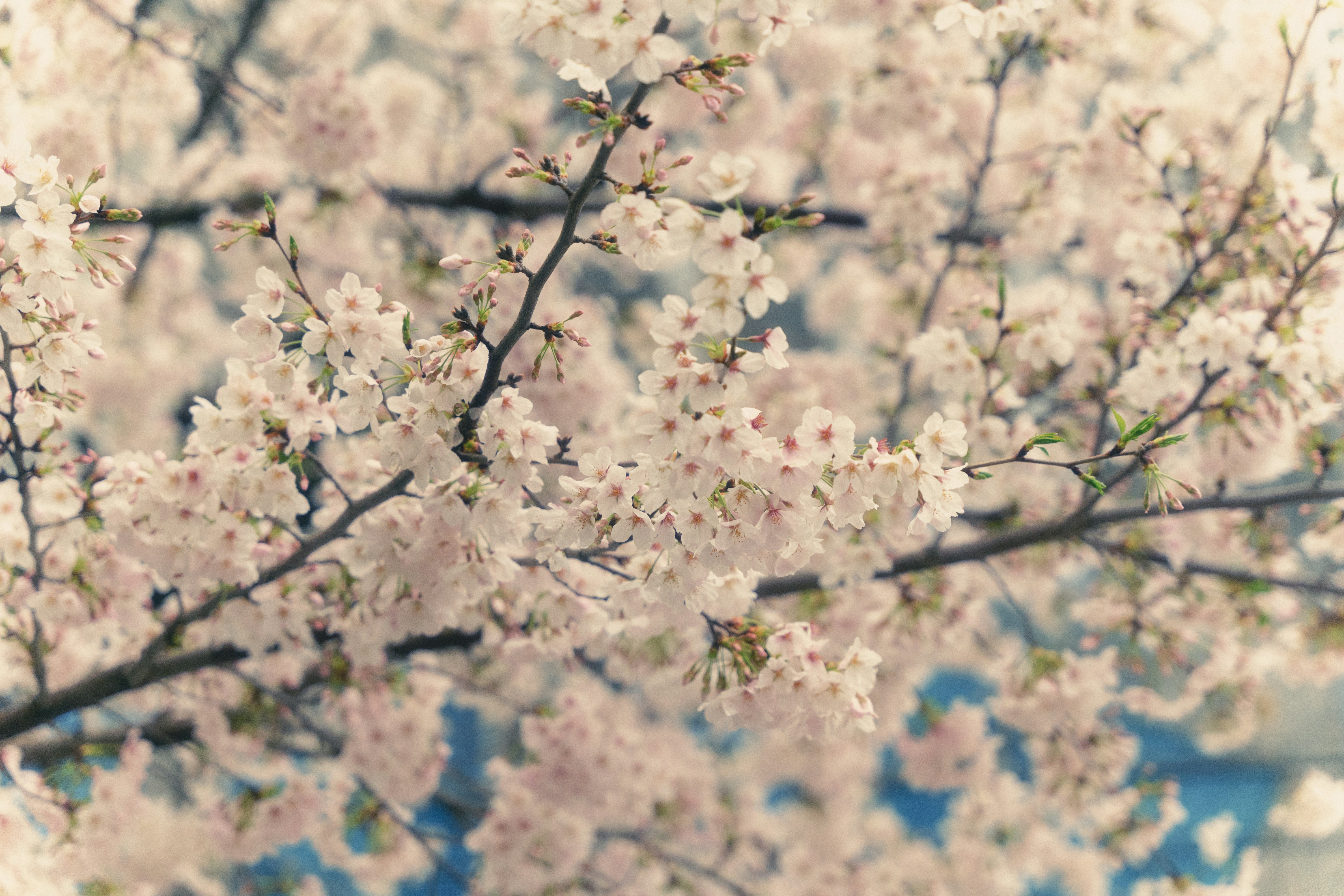 Photo by ayumikubo