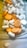 A variety of white and orange pills and tablets are scattered inside a container, with some featuring imprinted text or markings. The assortment includes both round and oblong shapes, suggesting different types or doses of medication.