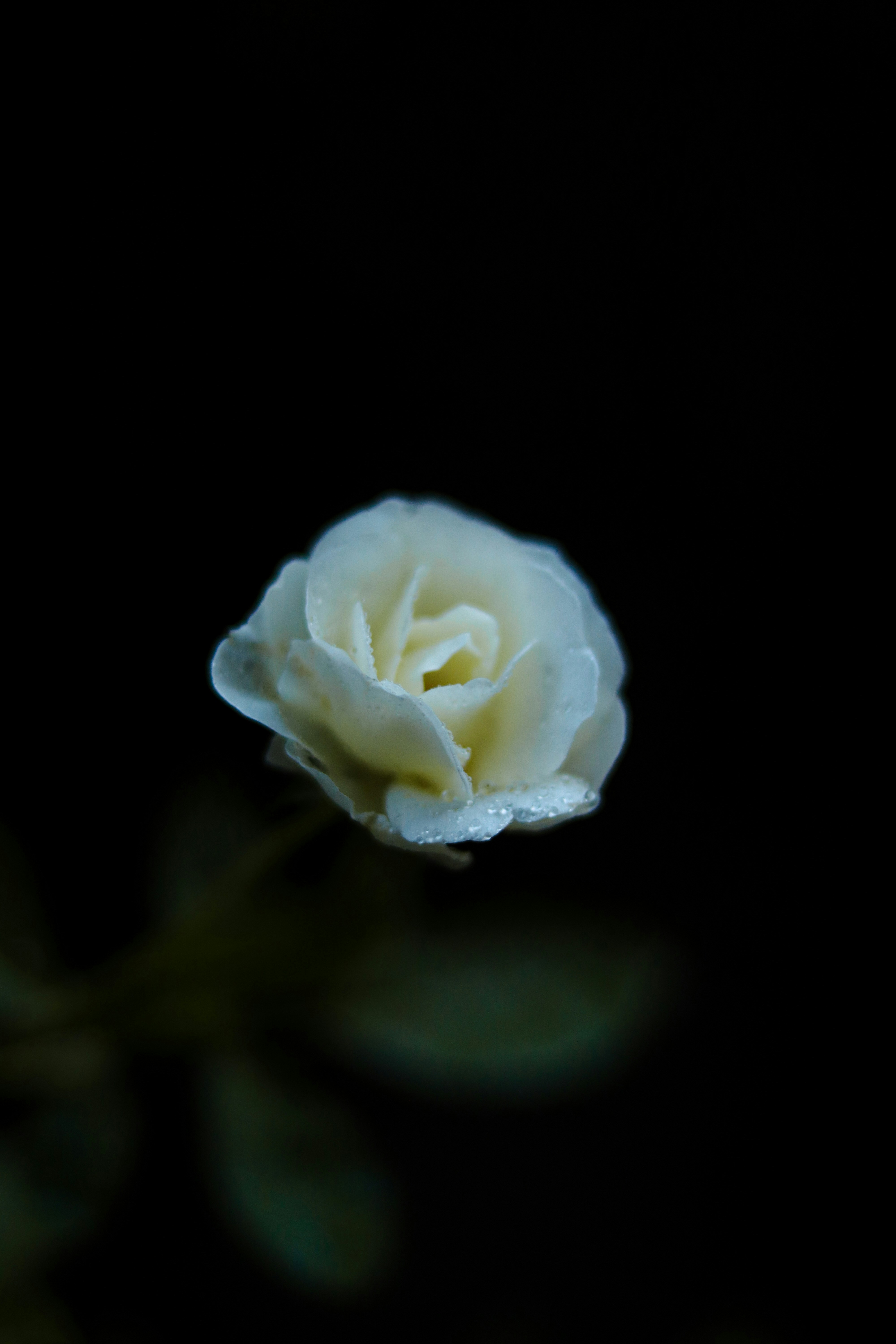 Photo by notwakeupsid