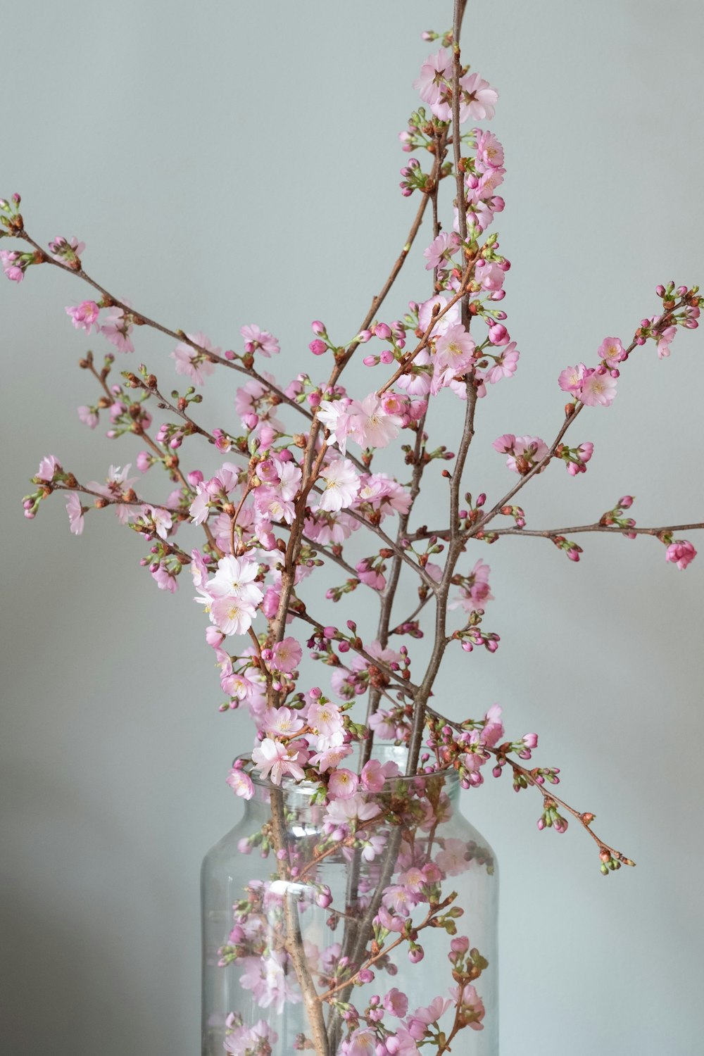 a vase filled with pink flowers on top of a table