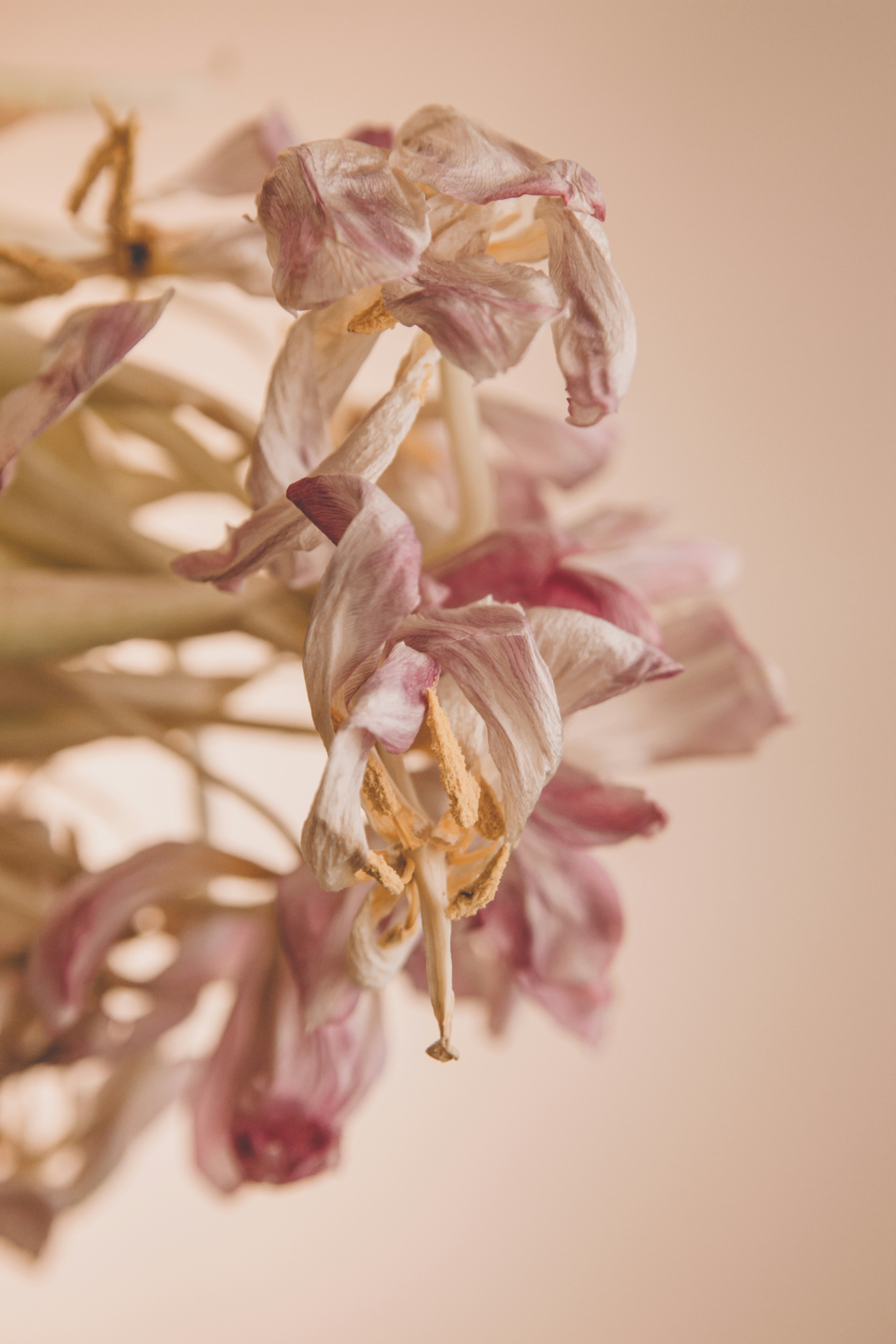 Photo by sam_badmaeva