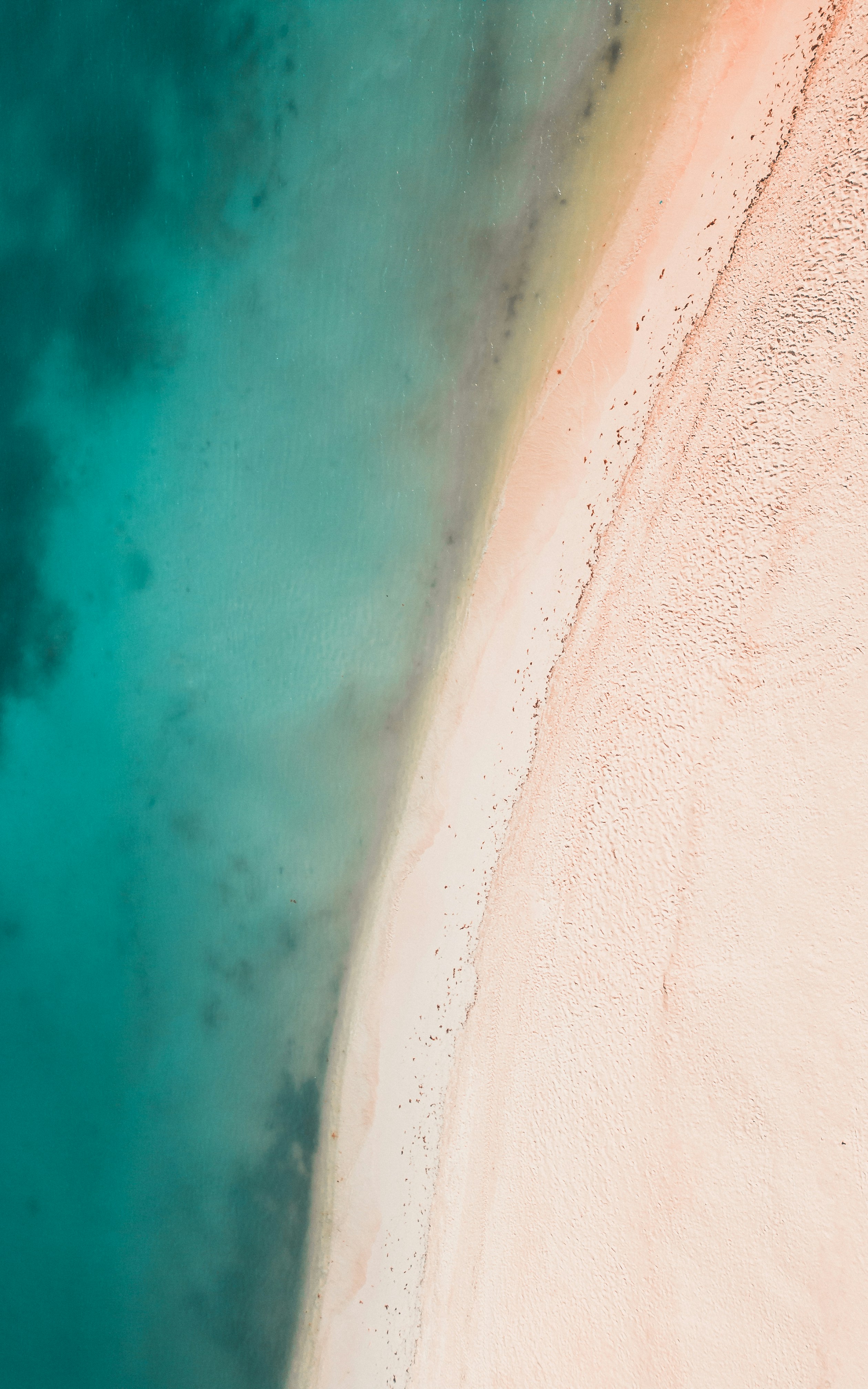 Photo by willianjusten