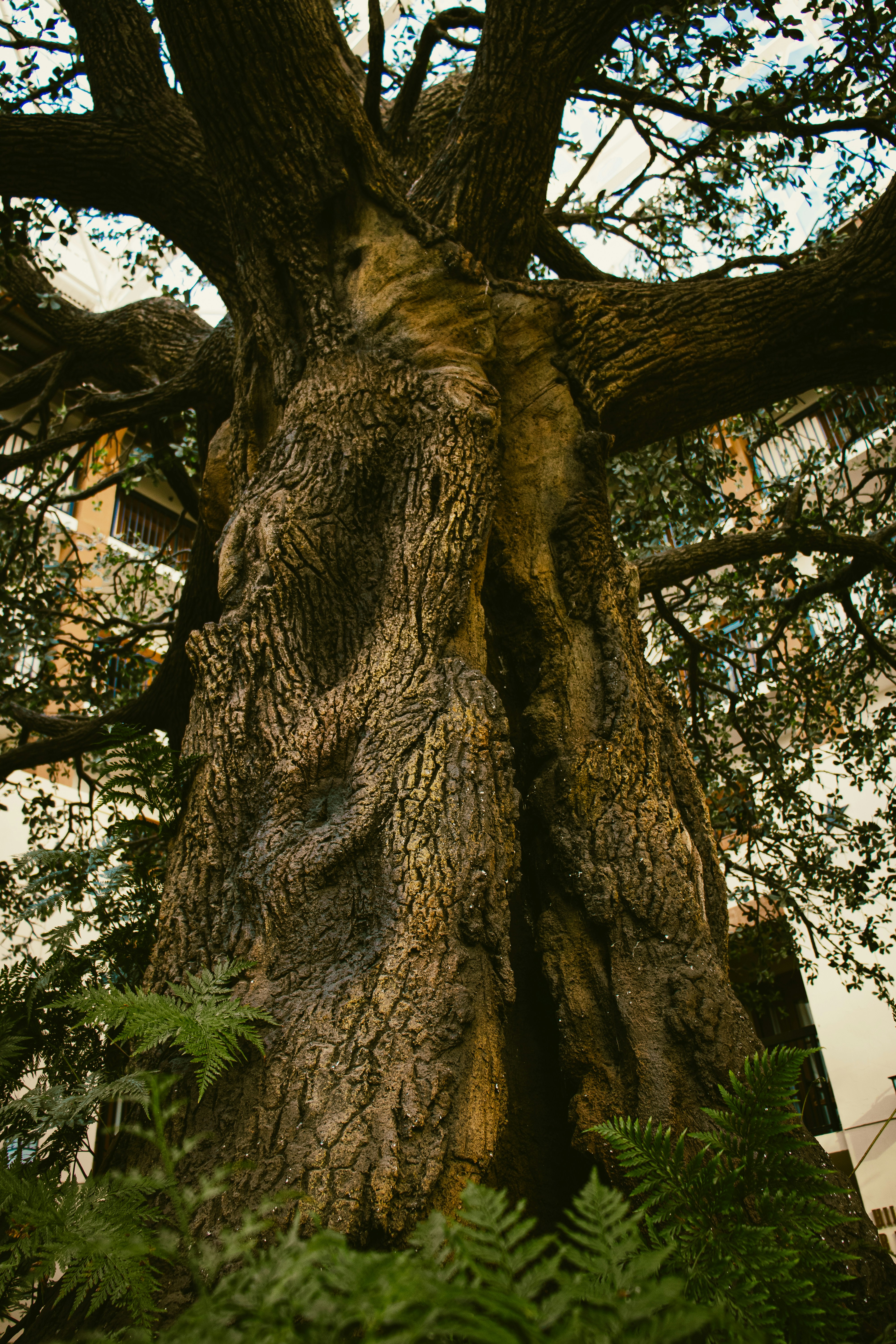 Photo by brice_cooper18