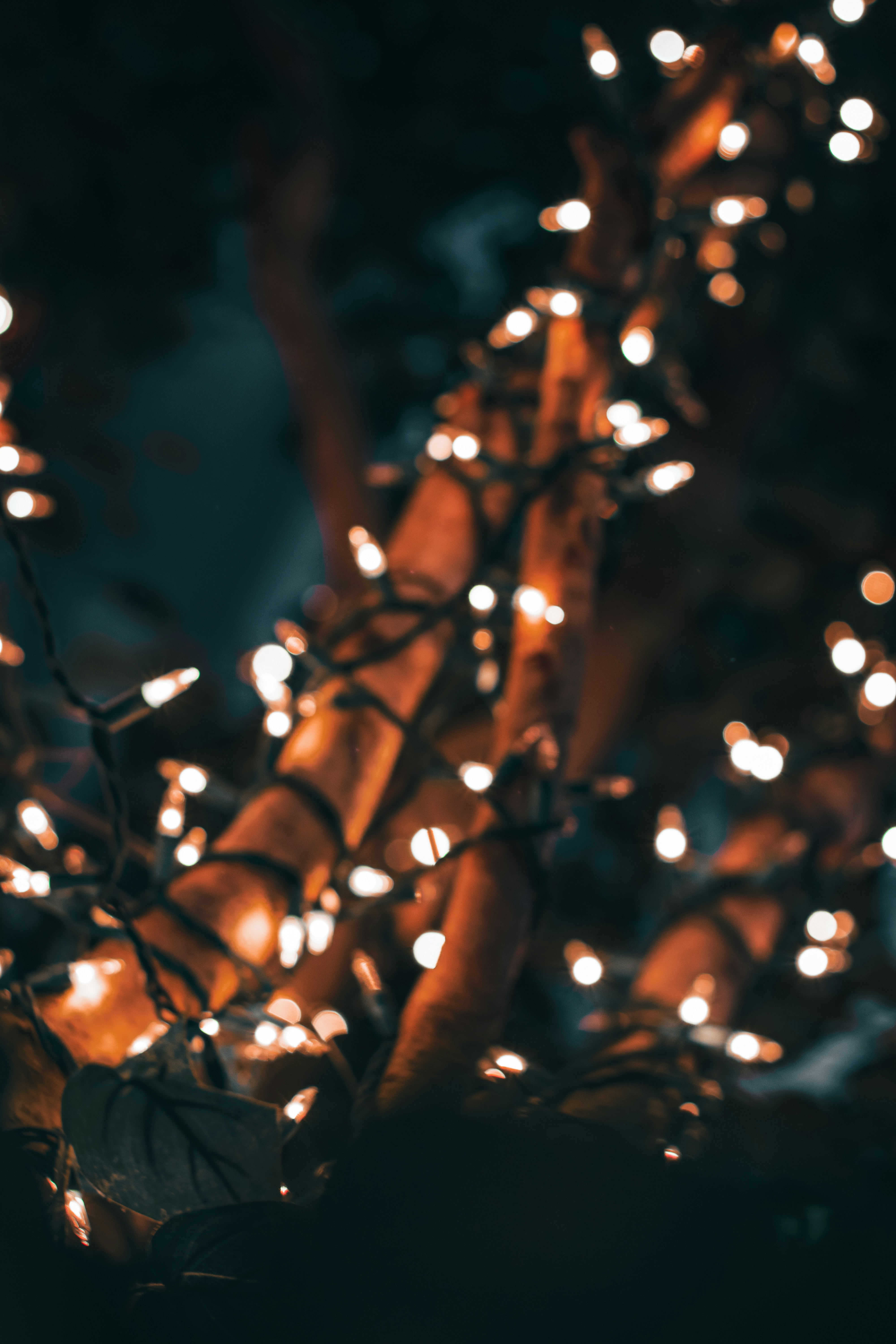 a bunch of lights that are on a tree