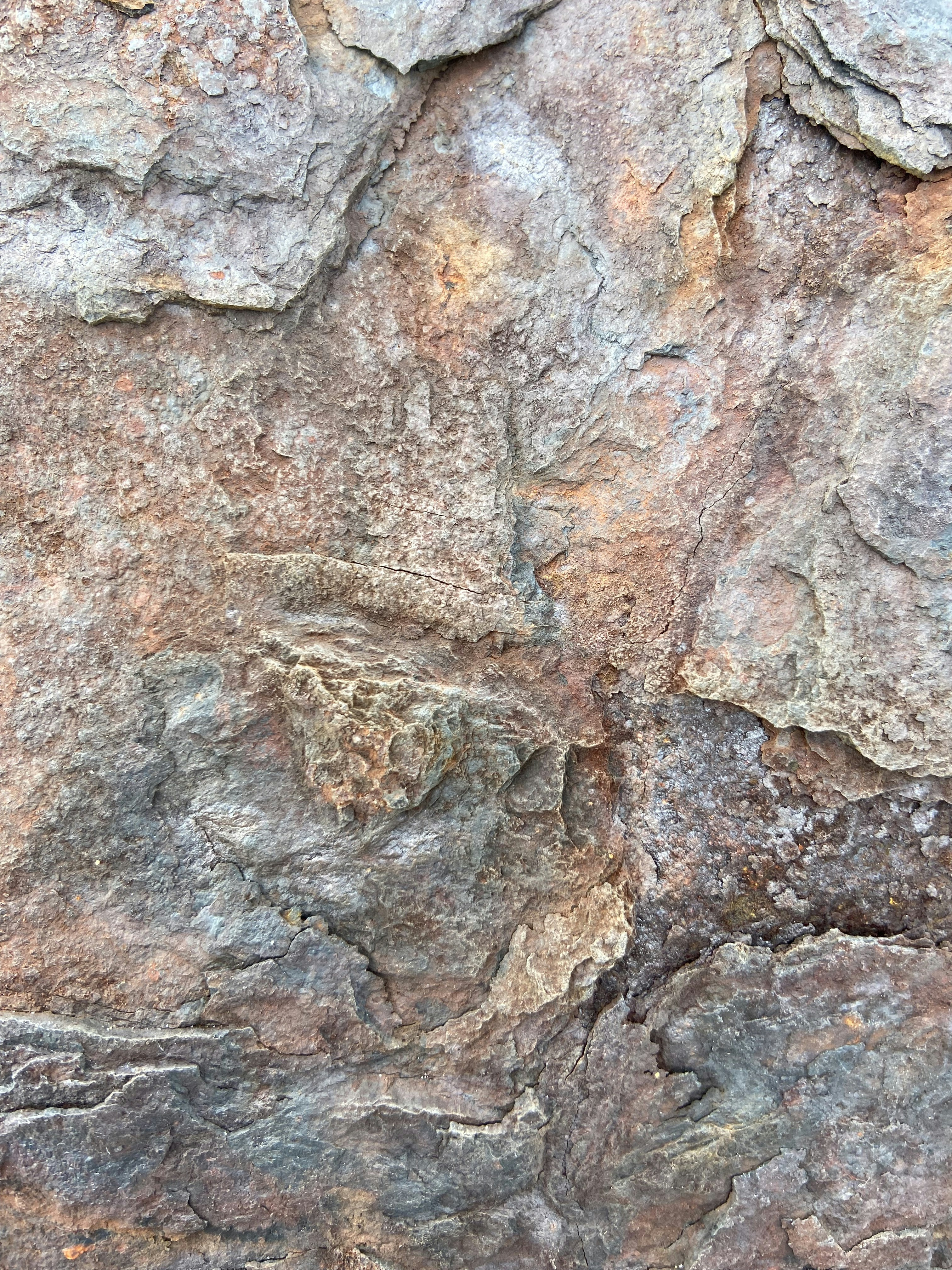 Photo by laura_hornos