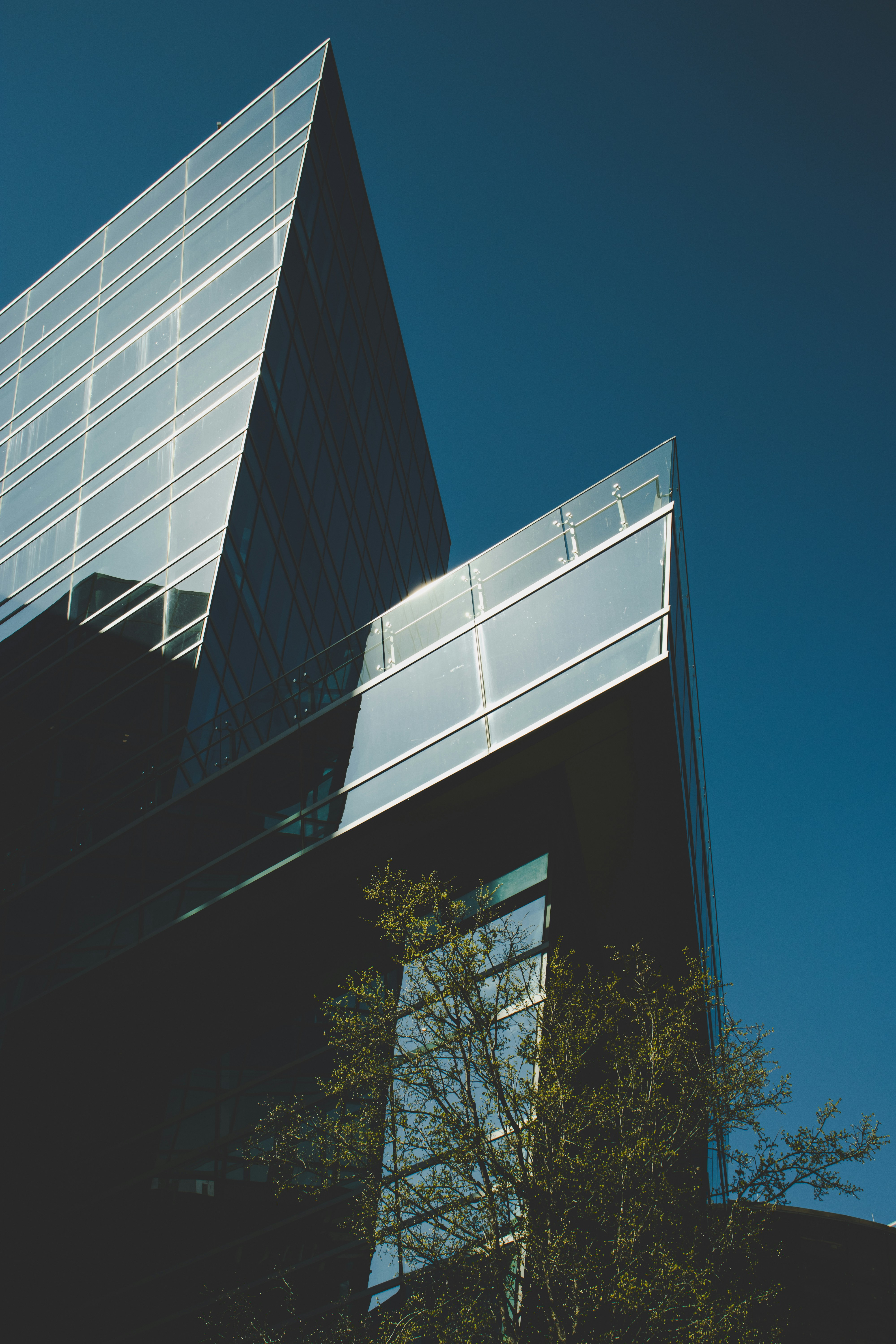 Photo by brice_cooper18