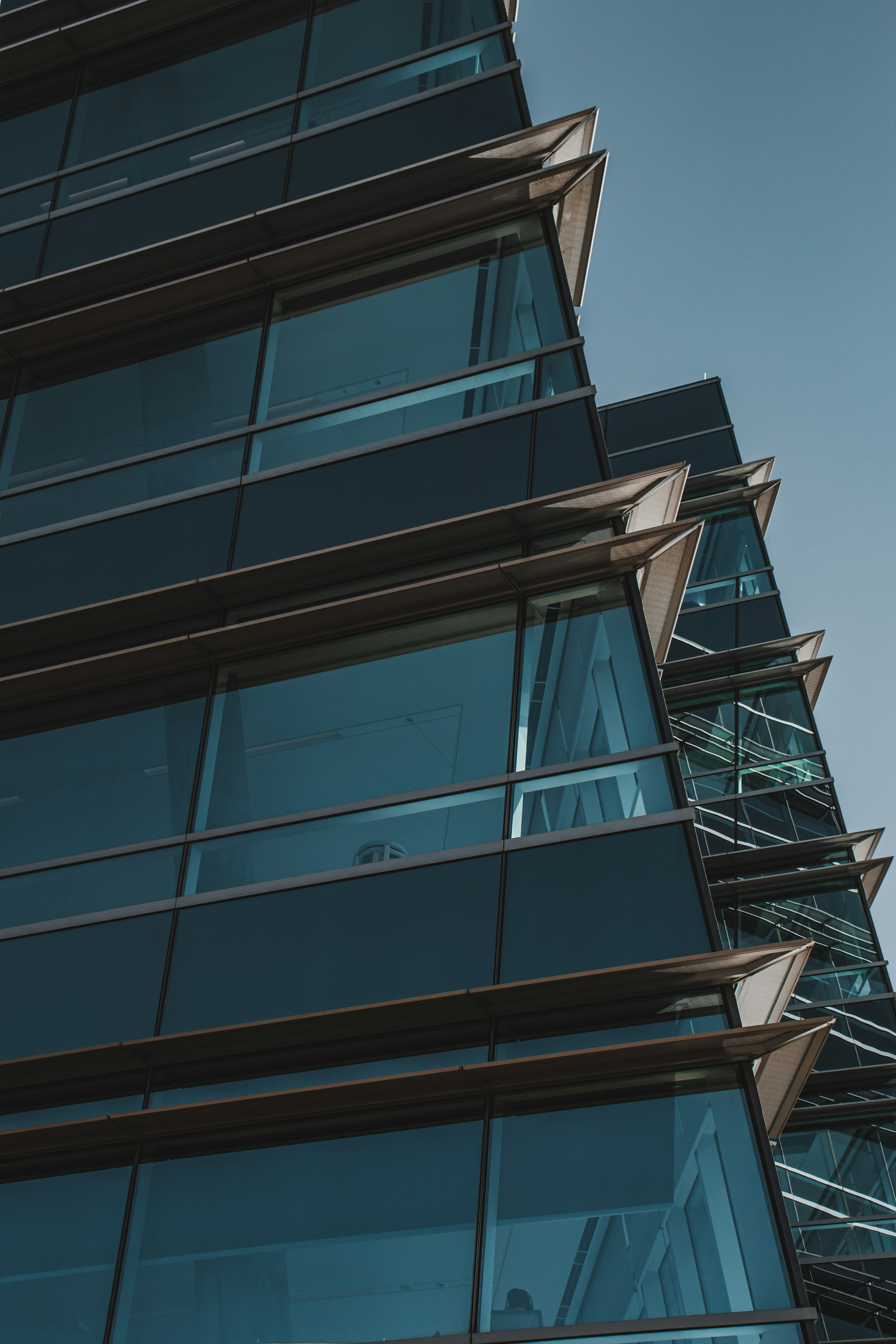 Photo by brice_cooper18