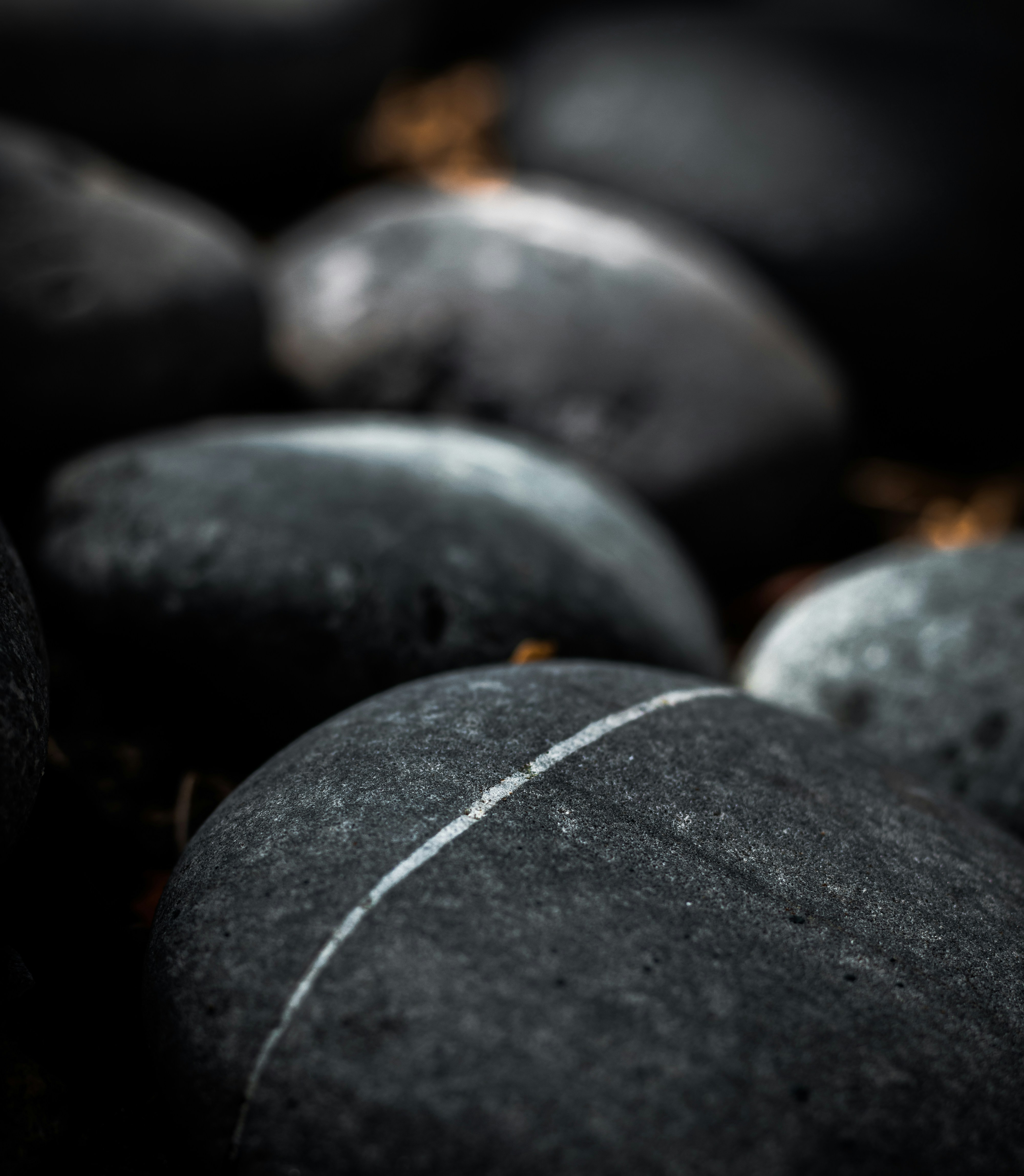 Photo by brice_cooper18